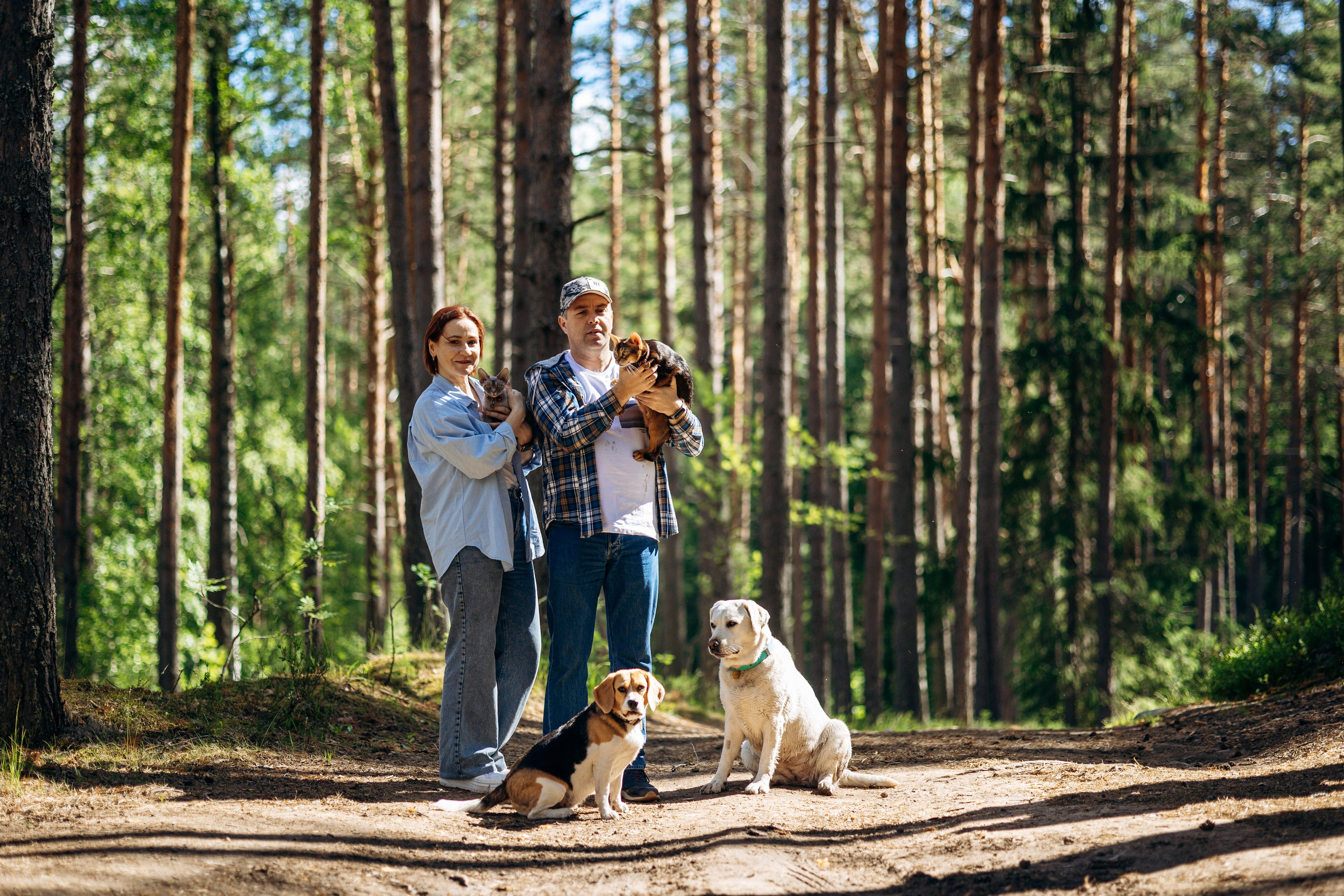 Котофеи и их семья. Фотограф — Анималист | Санкт-Петербург
