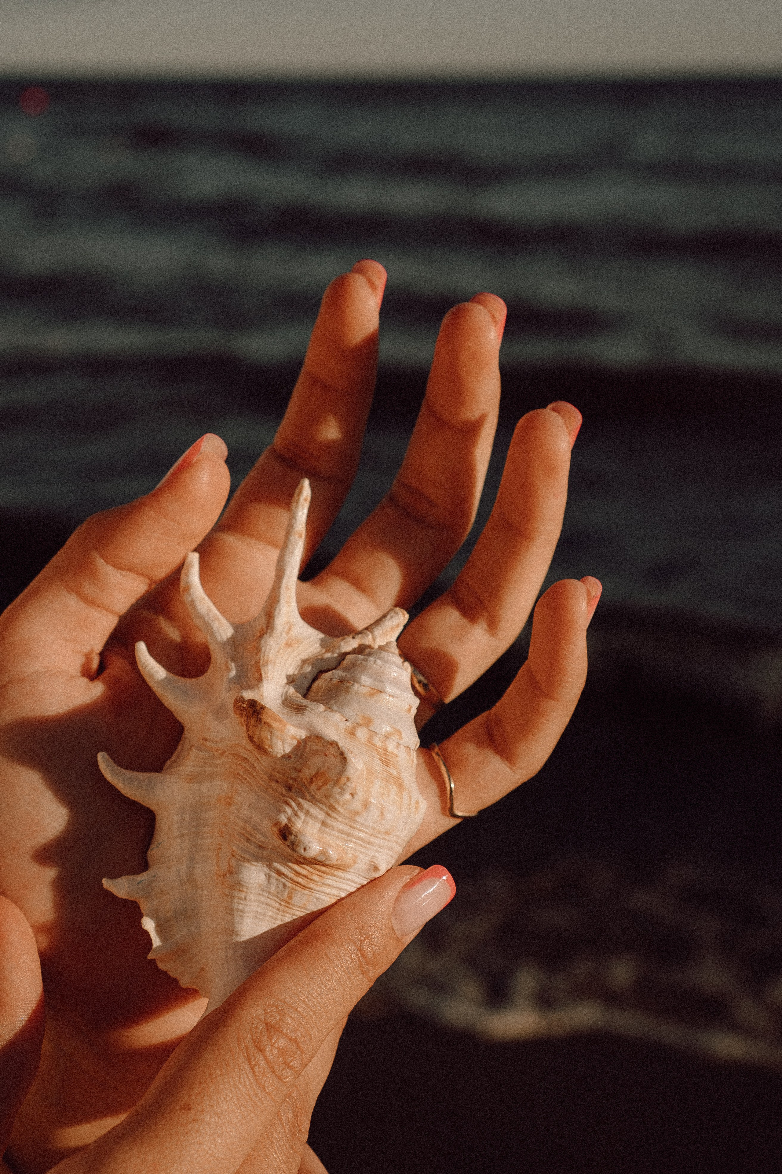 РОМАНТИКА ФИНСКОГО ЗАЛИВА. Профессиональный фотограф, Санкт-Петербург — Виктория Богомолова