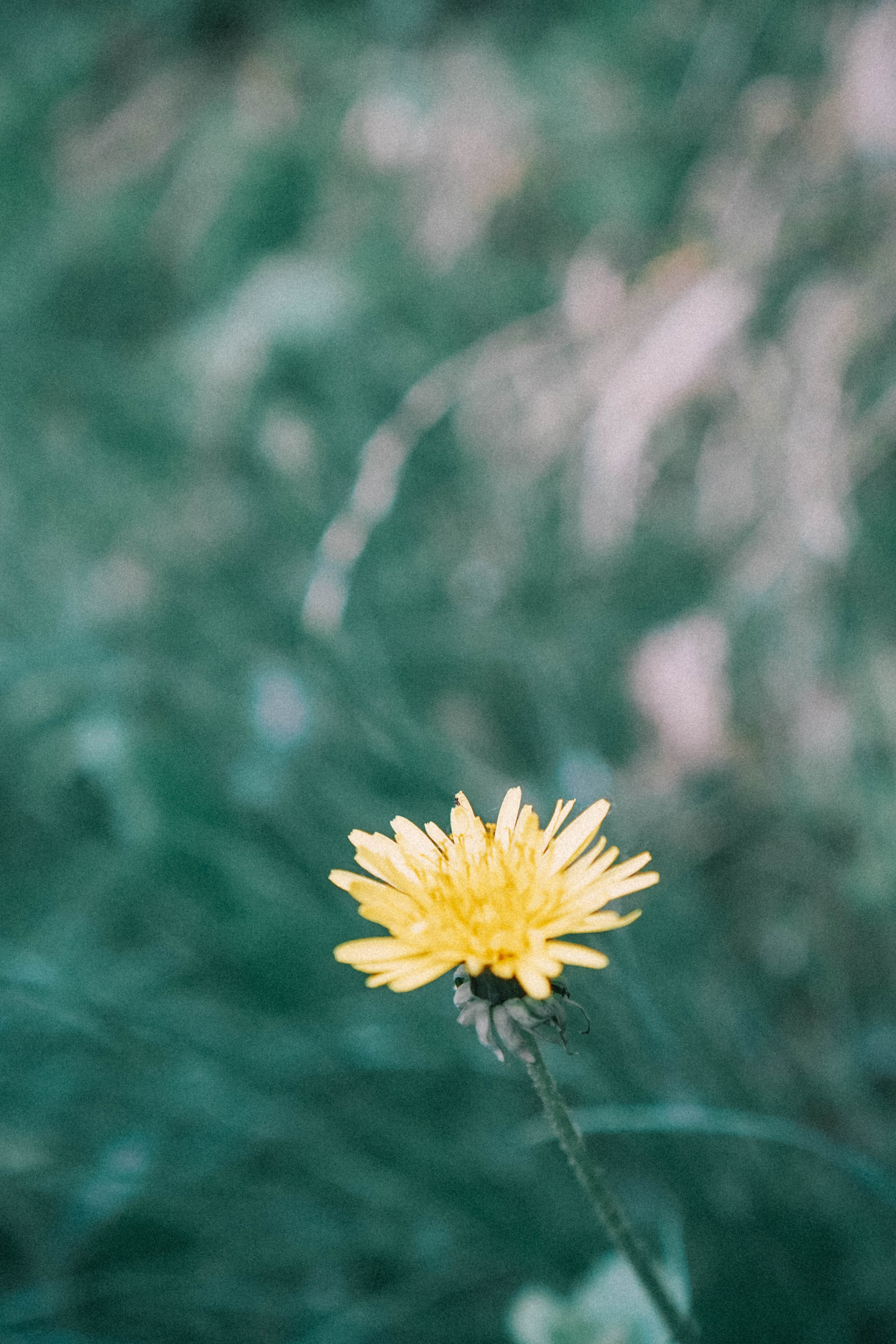 КИСЛОВОДСК. Профессиональный фотограф, Санкт-Петербург — Виктория Богомолова