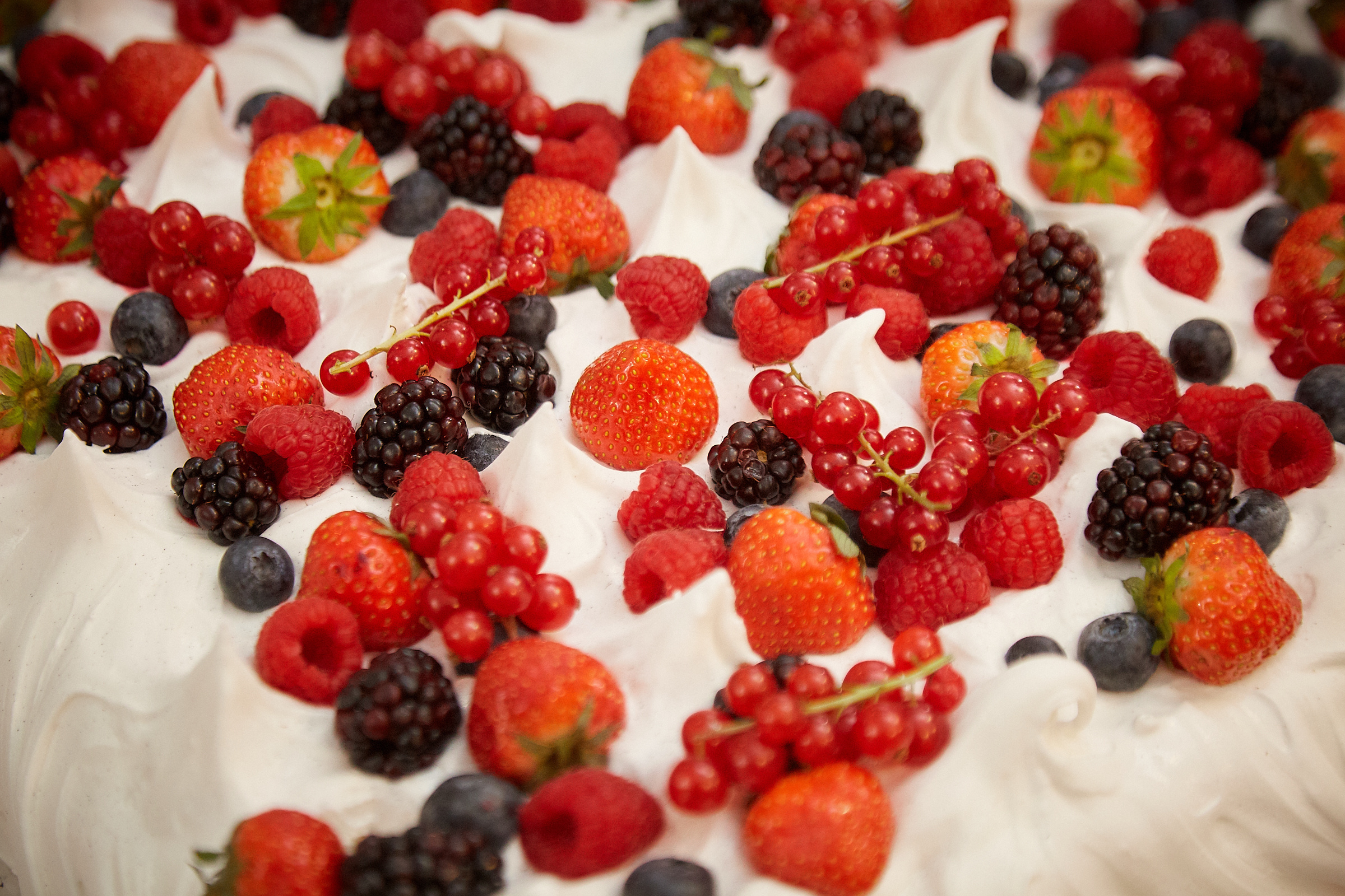 Perast Wedding Photography – Elegance and Romance Captured. Photographer in Montenegro | Фотограф в Черногории