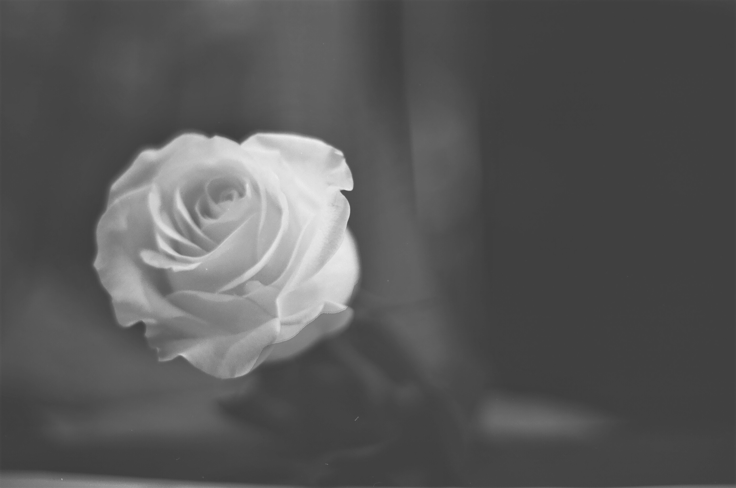 Плёночные фотографии. Репортажный фотограф в Москве Юрьев Денис