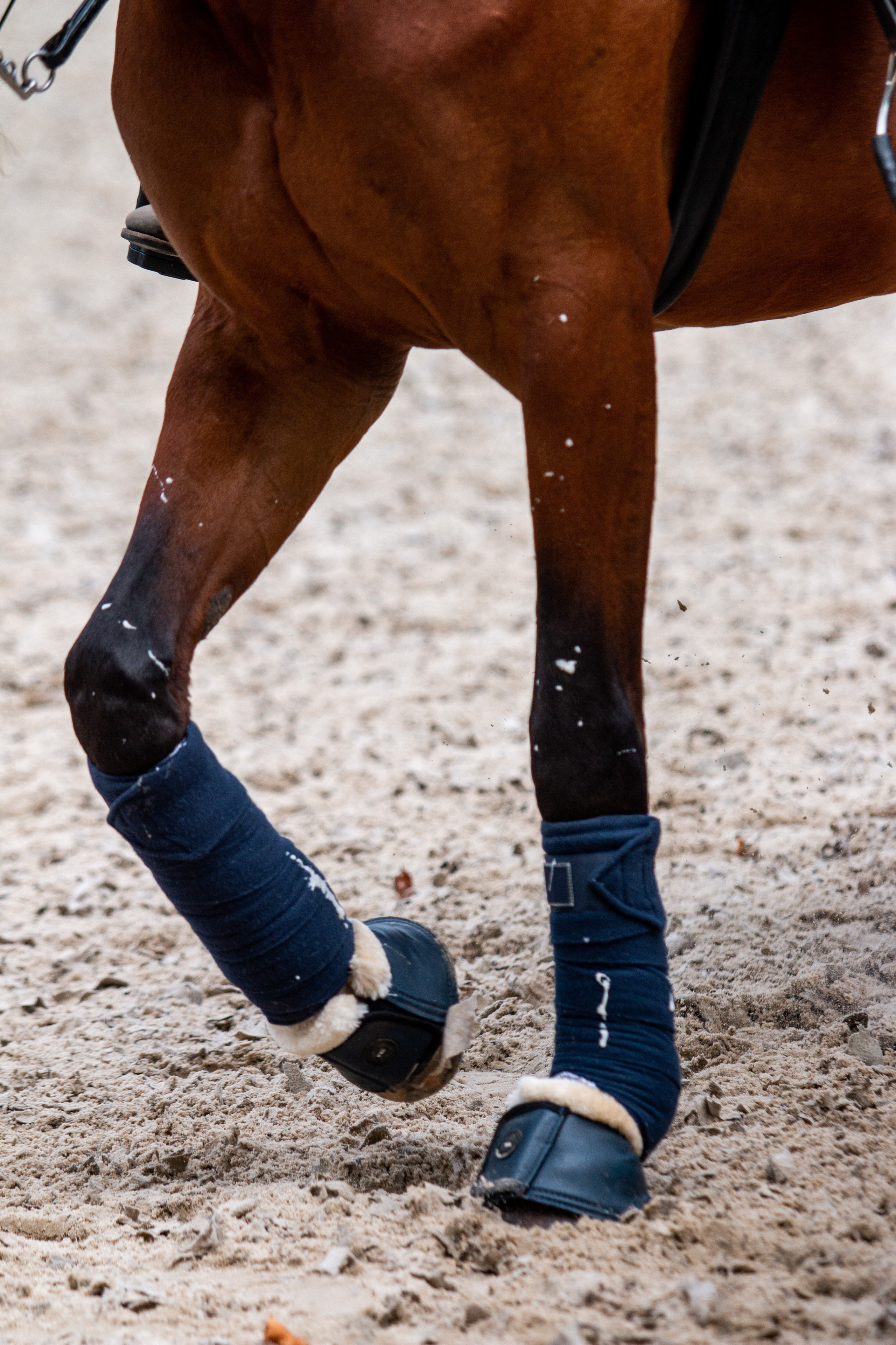 Фотосессии с лошадьми. Репортажный фотограф в Москве Юрьев Денис