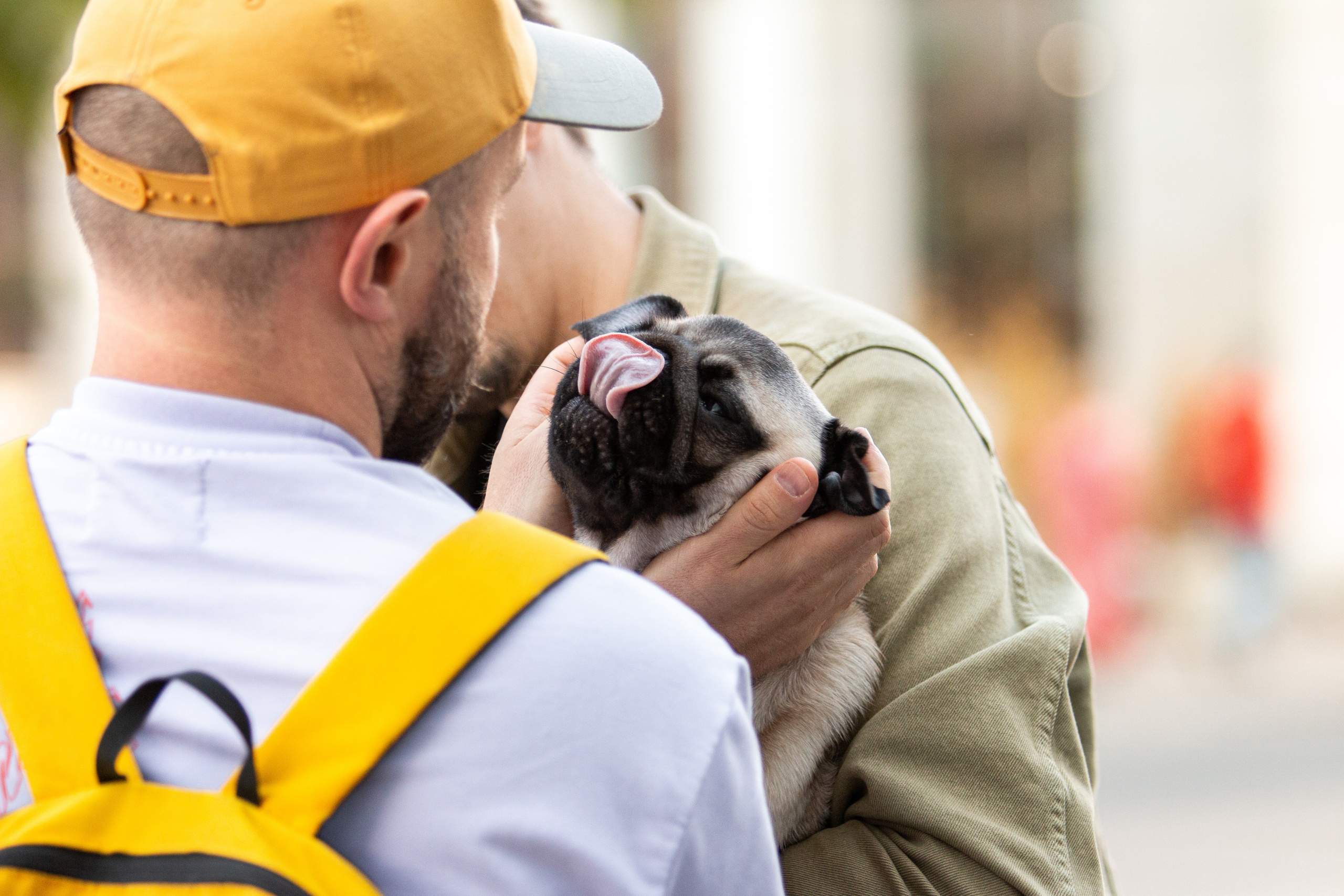 Собаки. Репортажный фотограф в Москве Юрьев Денис