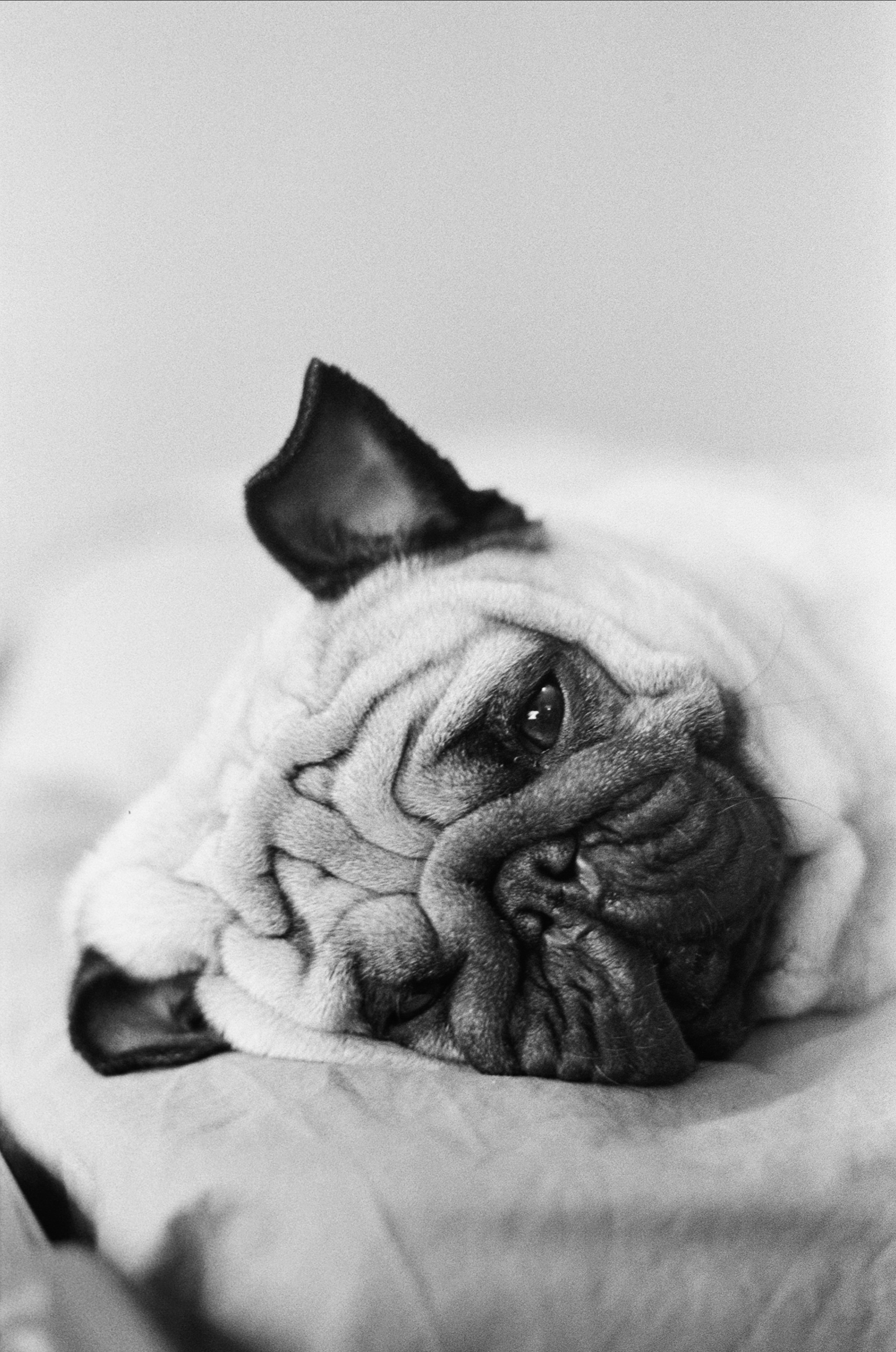 Плёночные фотографии. Репортажный фотограф в Москве Юрьев Денис