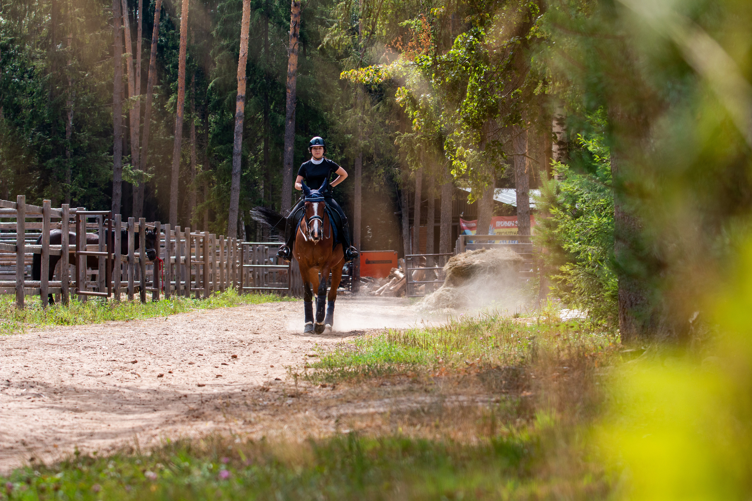 Фотосессии с лошадьми. Репортажный фотограф в Москве Юрьев Денис
