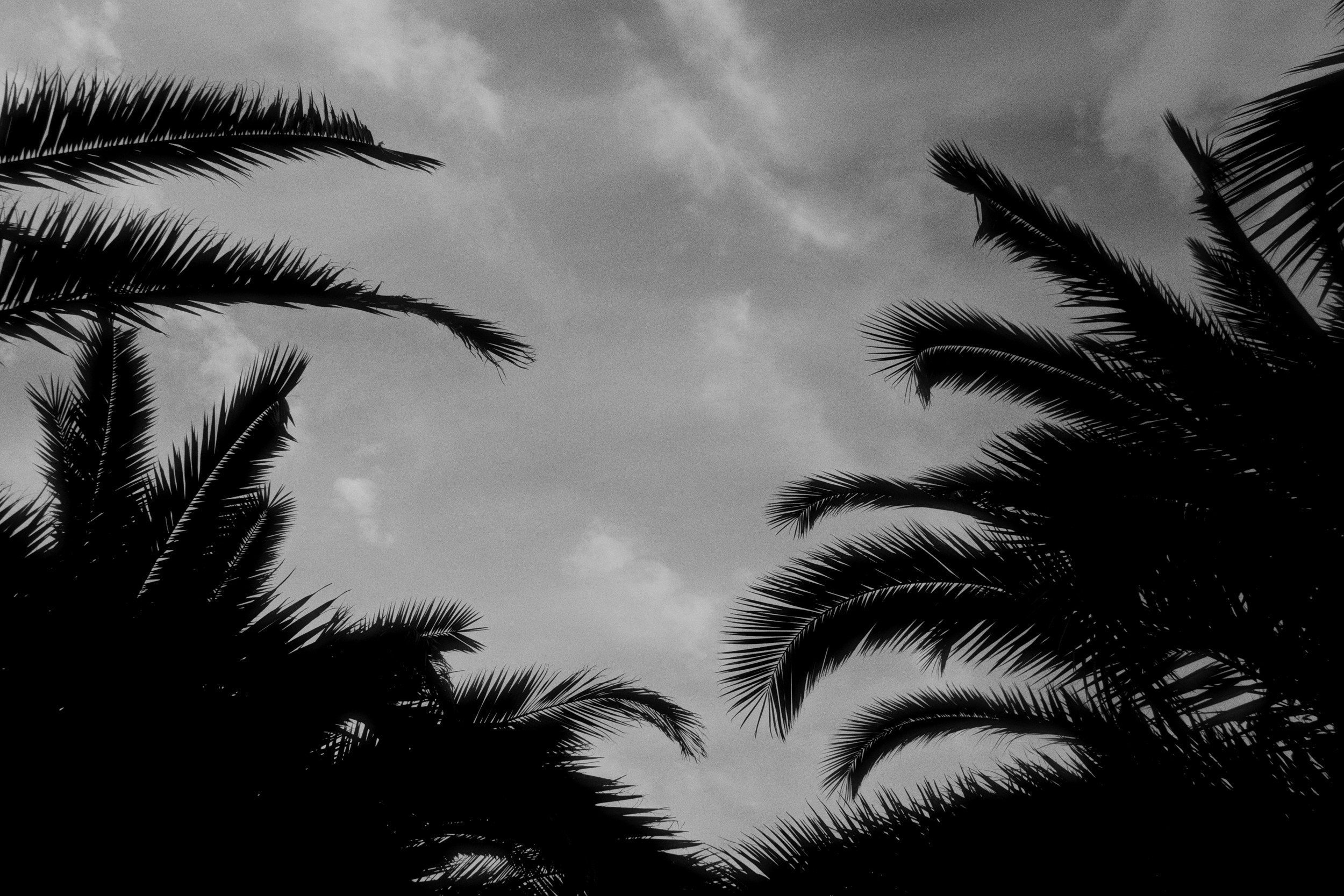 OM-System Tough-7 / Sochi Port. Фотограф Юрин Евгений