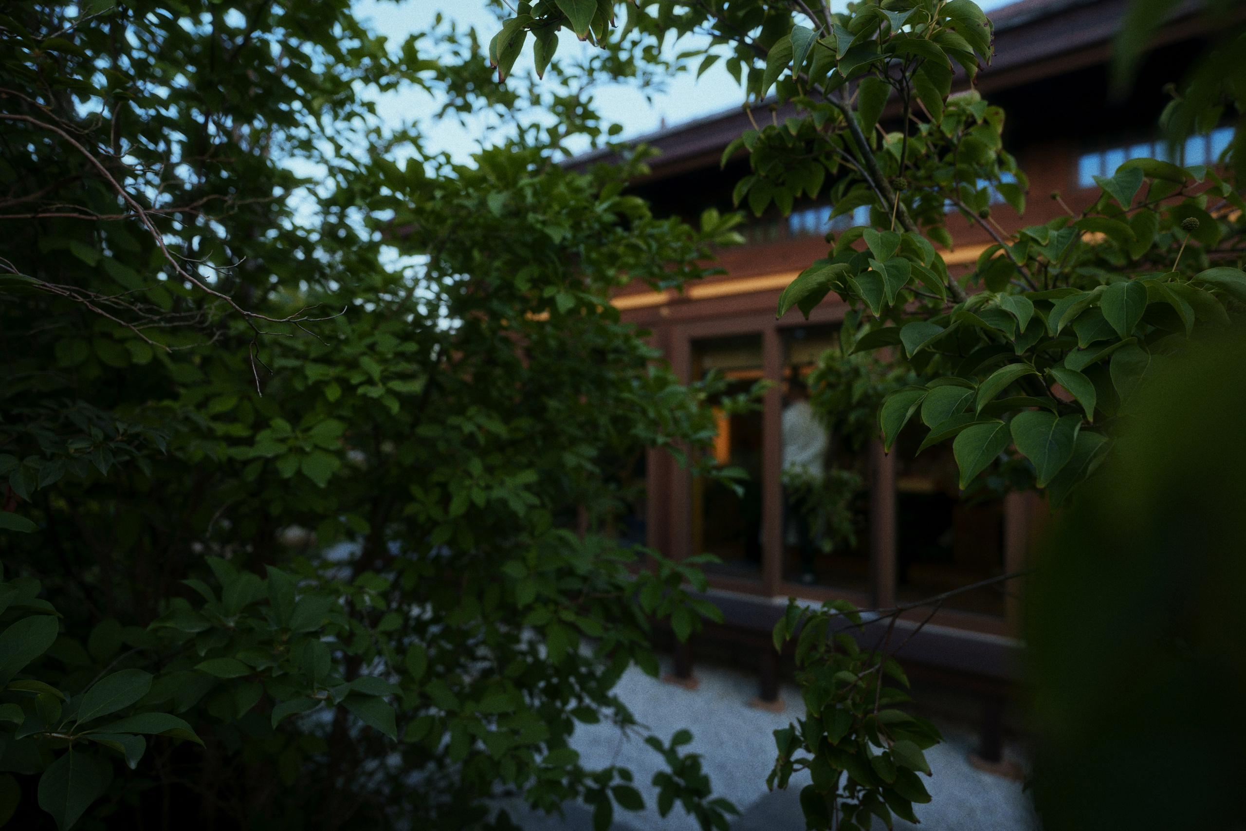 Ryotei x kudo. Фотограф Юрин Евгений