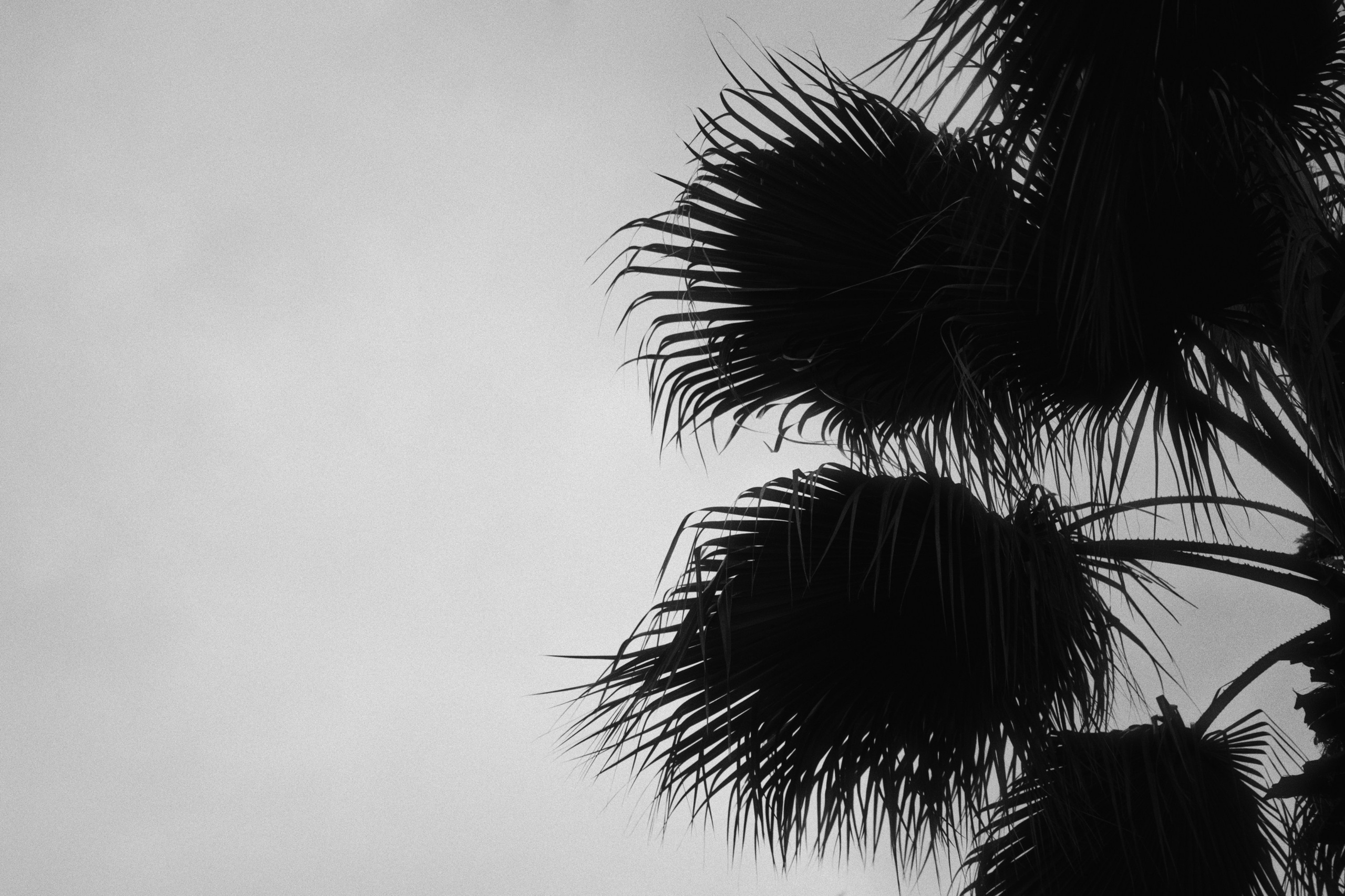 Sochi port (morskaya). Фотограф Юрин Евгений