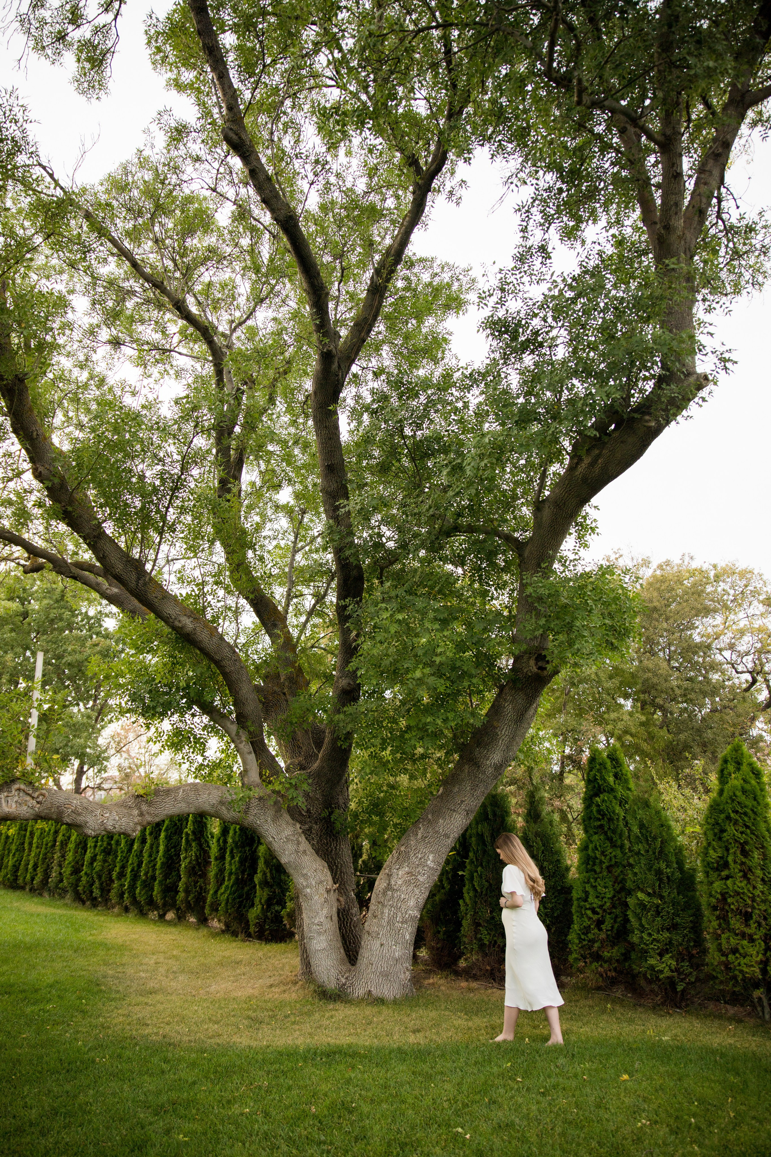 В ожидании. Свадебный и семейный фотограф в Геленджике и Краснодарском крае