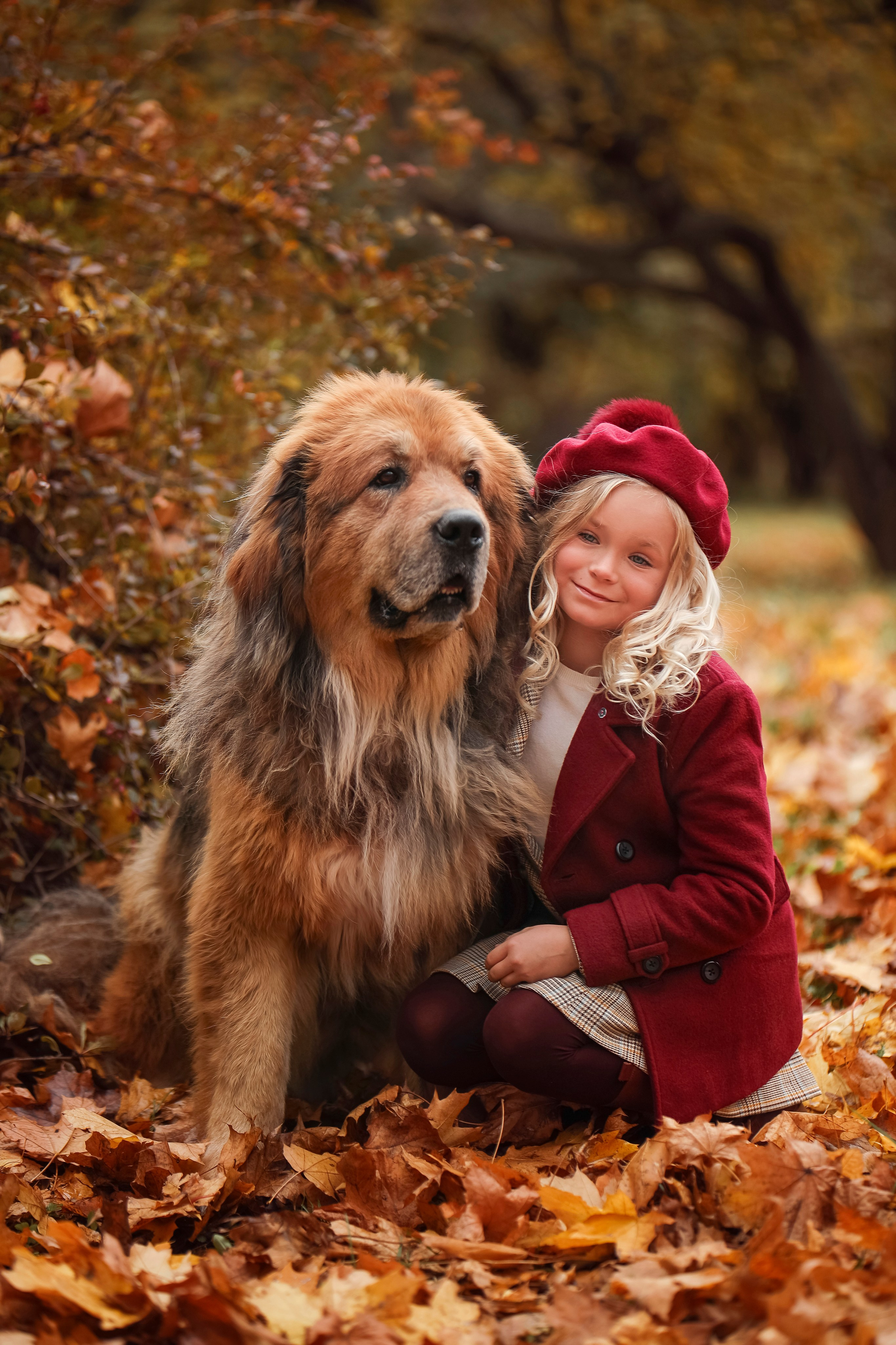 Парк Коломенское с Мастифами. Детский и семейный фотограф г. Москва Оксана Катаджи