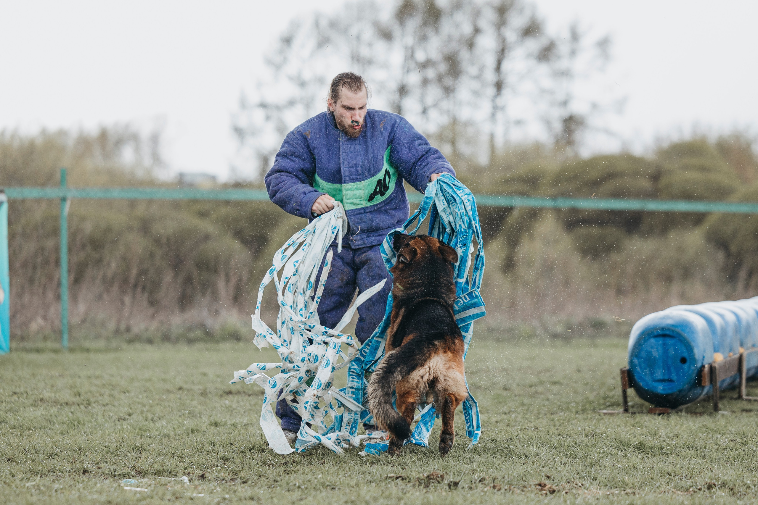 09.05.25 Вологда соревнования. Фотограф-анималист Анна Маринич