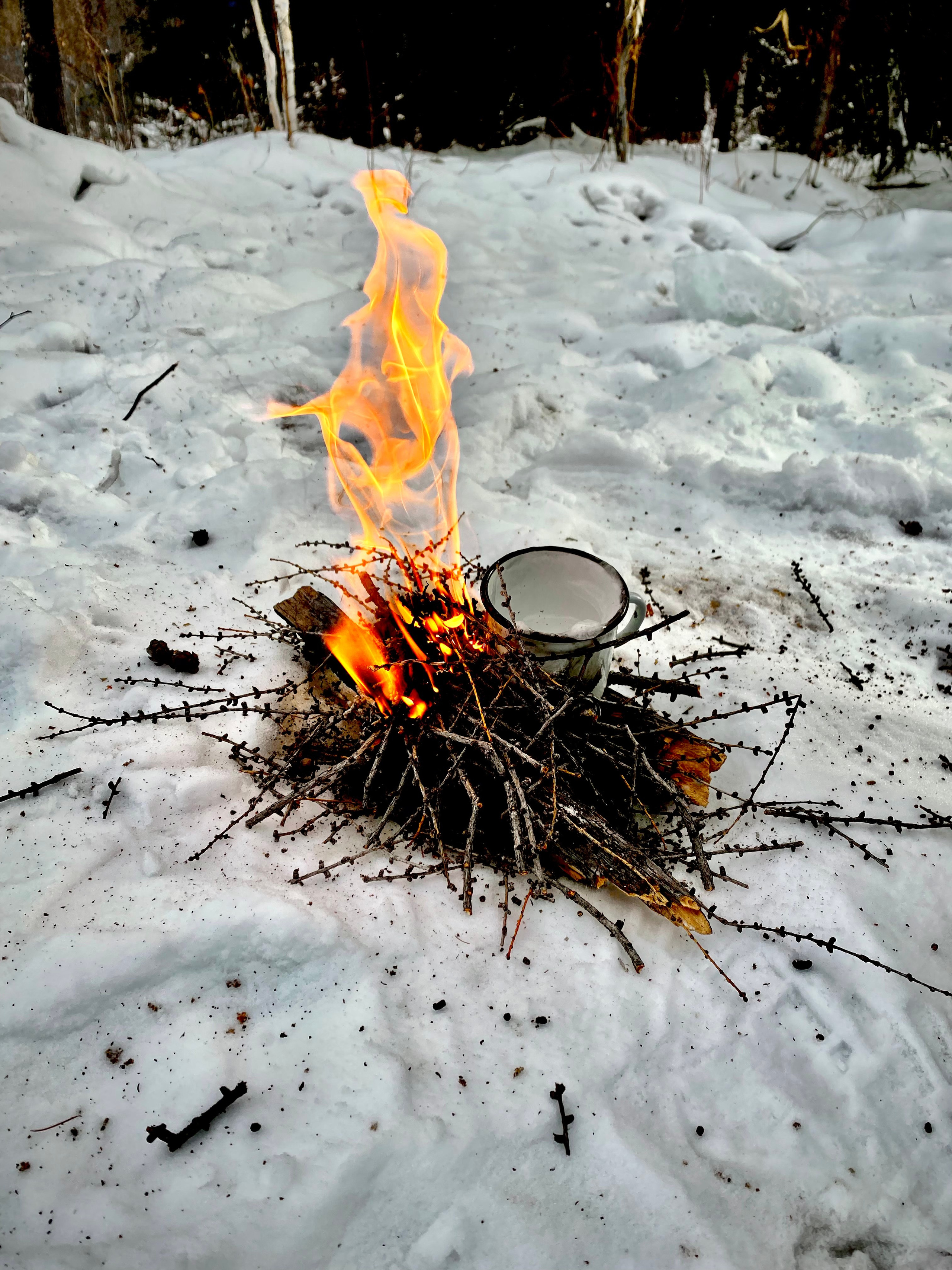 Автор: Татьяна Полежаева