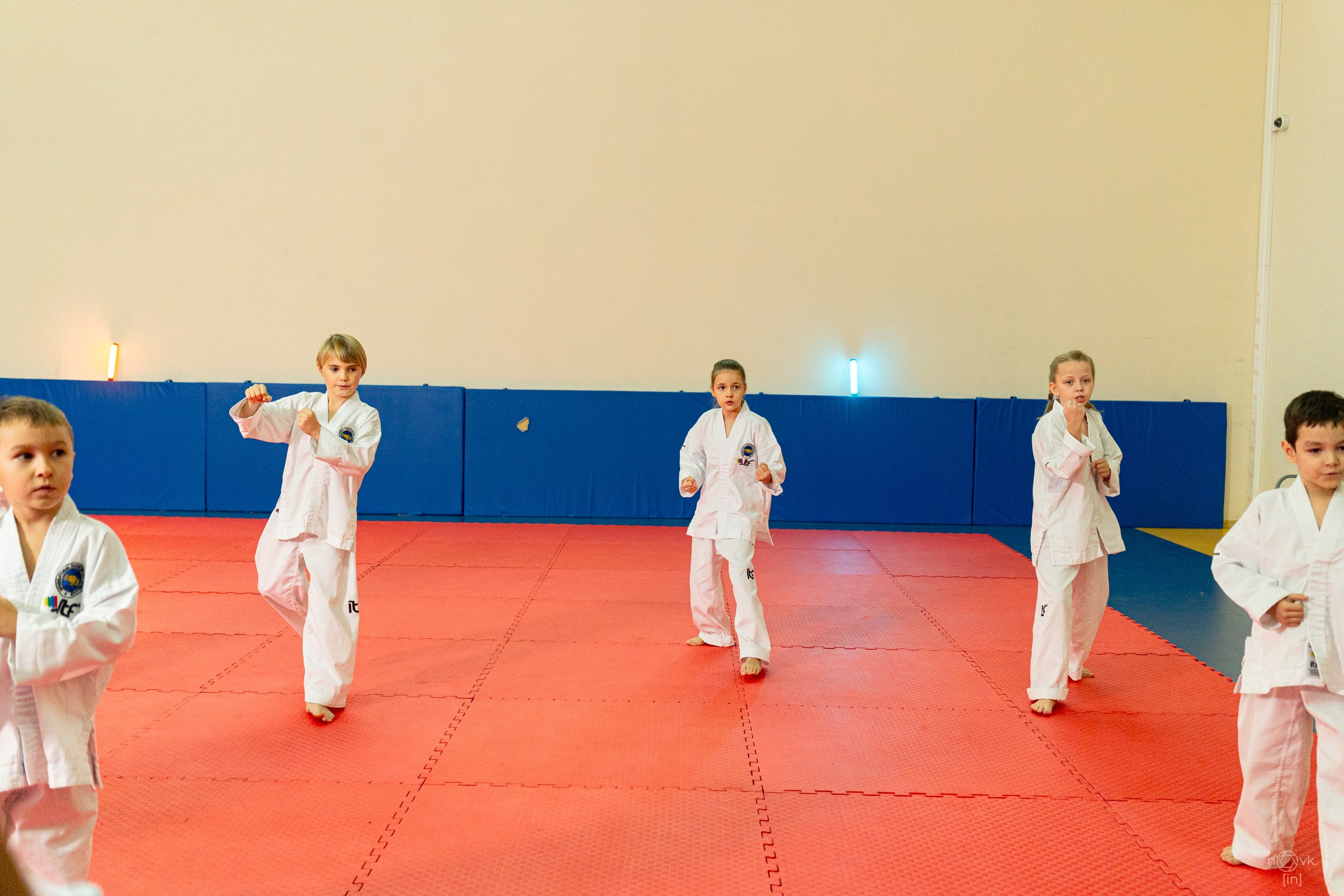 Аттестация Тхэкво. ФОТОГРАФ ИВАН НОВИКОВ | СТАВРОПОЛЬ