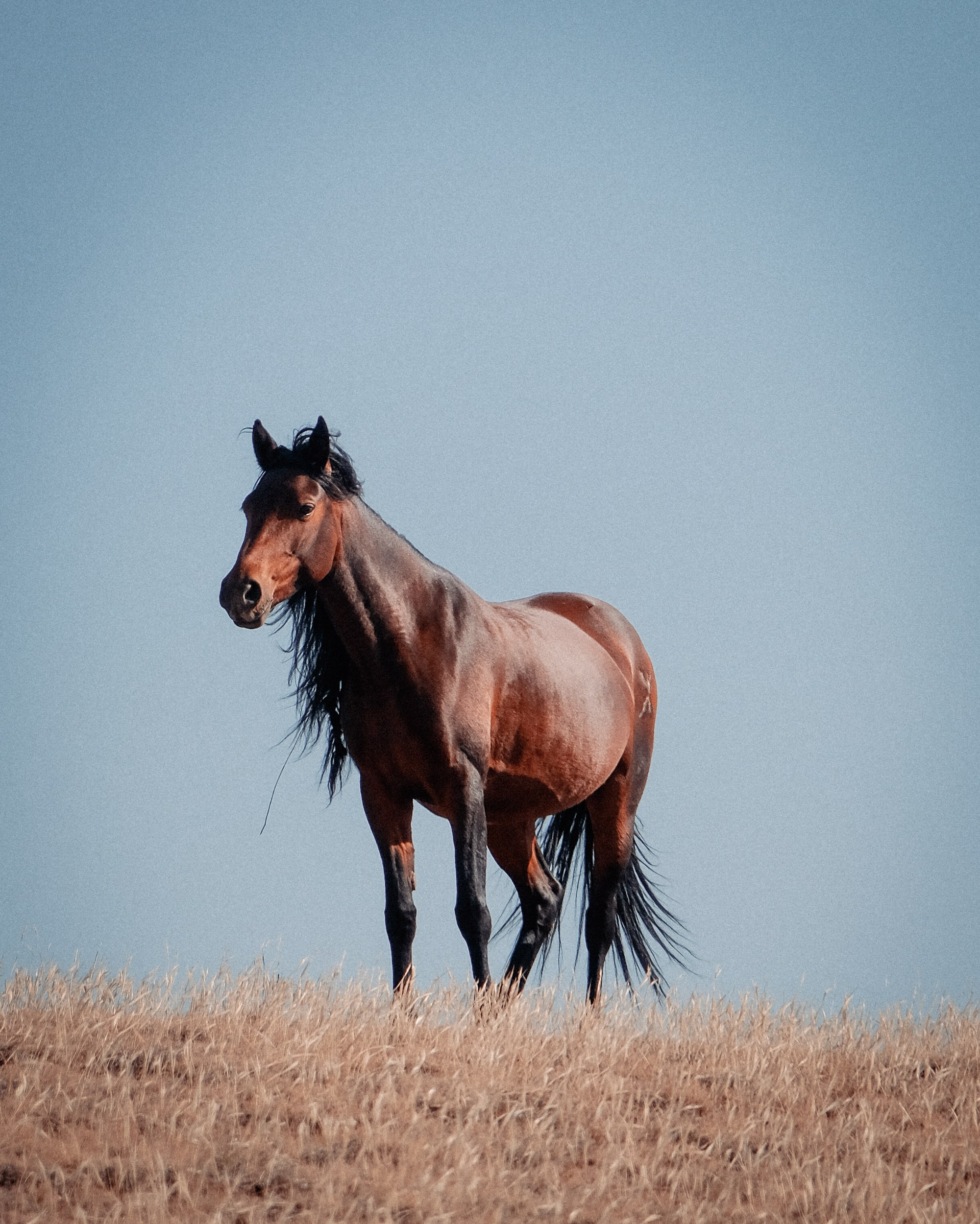 Кыргызстан. Фотограф Дмитрий Олрайт | Калуга, Россия