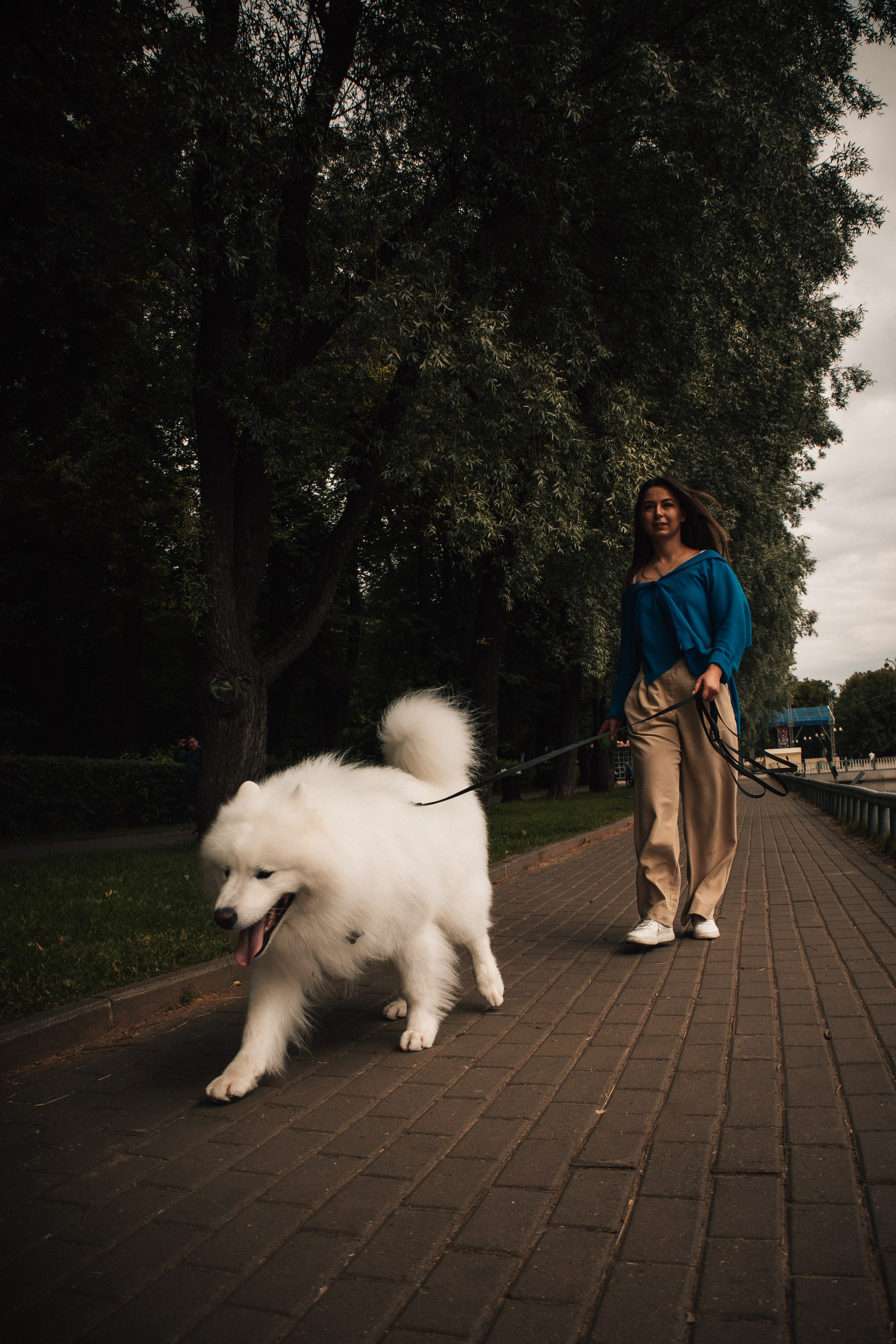 Прогулочная фотосессия девушки в парке с собакой самоедом. Фотограф-анималист в Москве Екатерина Тихонова