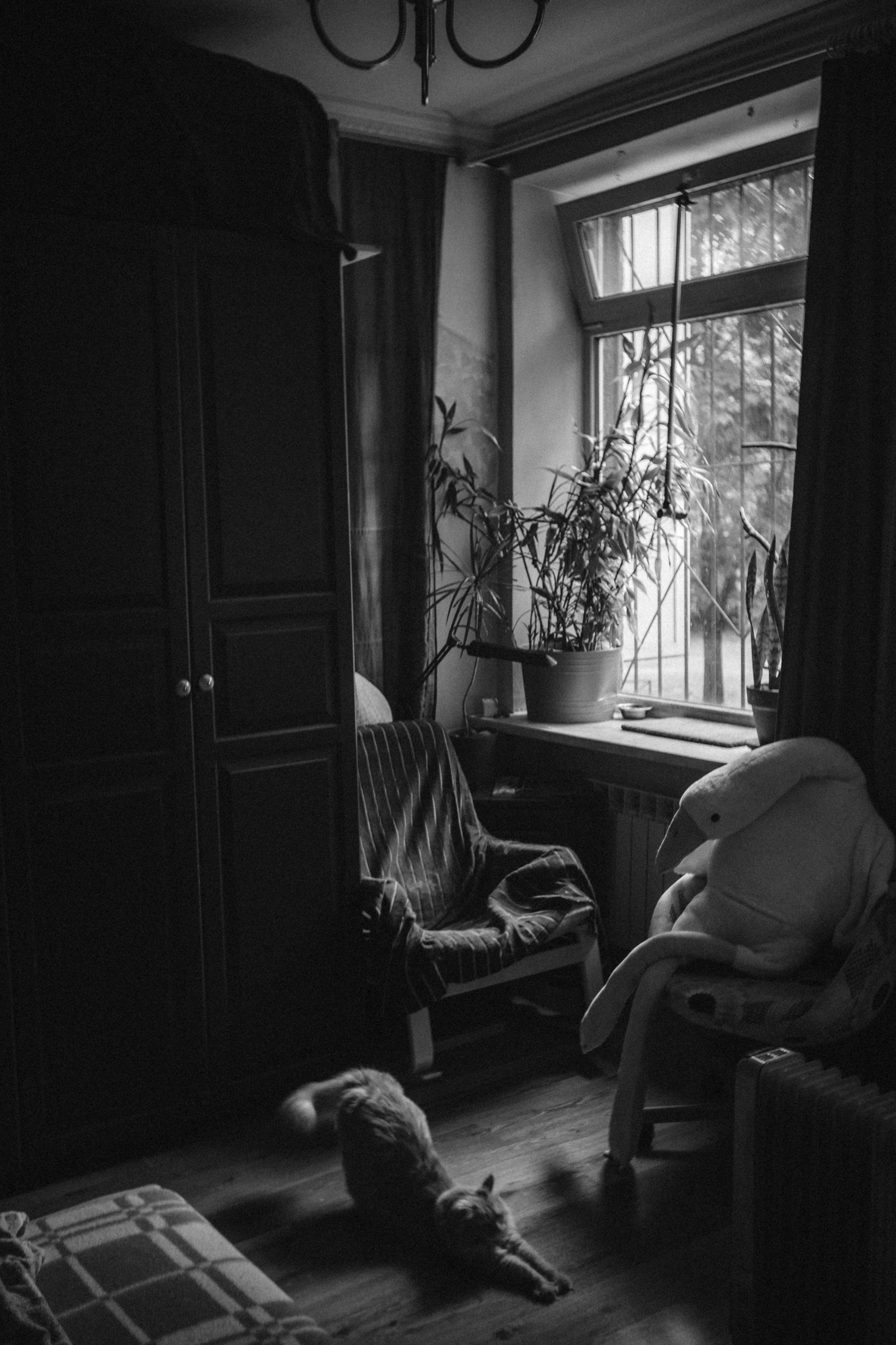 Жизнь. Игорь Гичка. Портрет с любовью