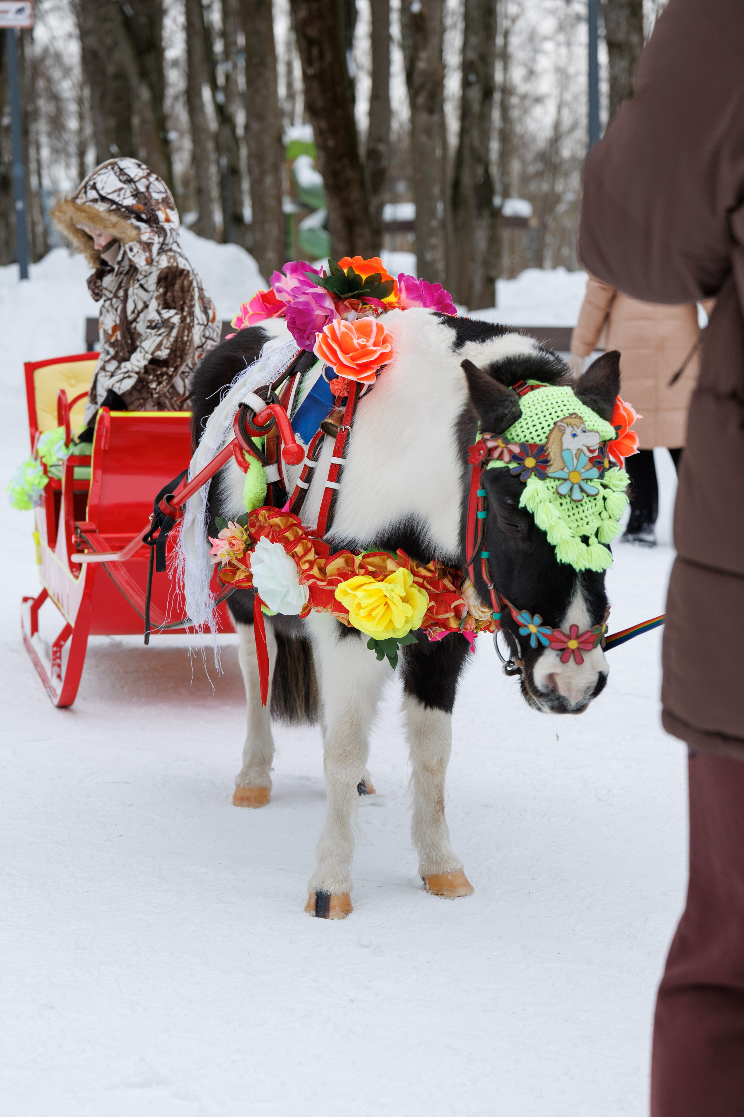 Масленица 2026, Солнечногорск, фотограф клин, репортажная съемка