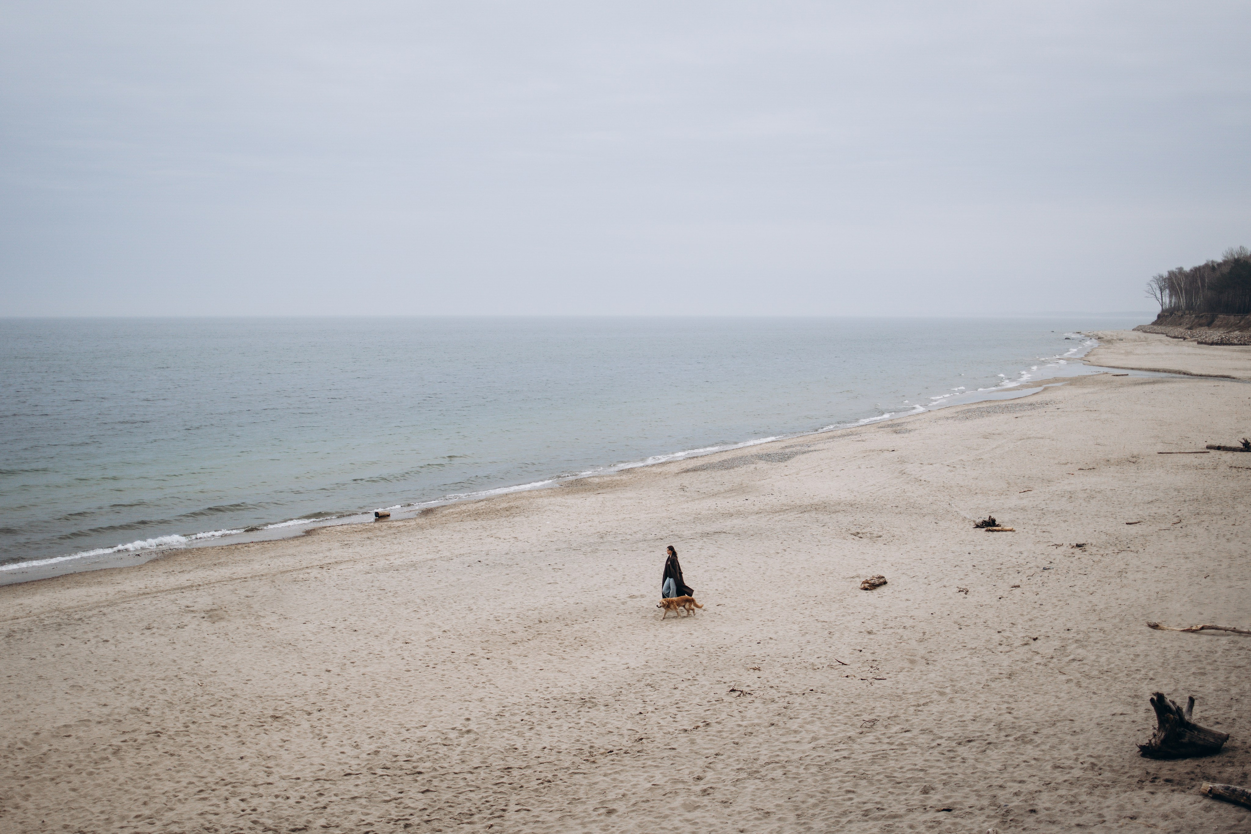 Юля и Максик. Фотограф — Анималист | Санкт-Петербург