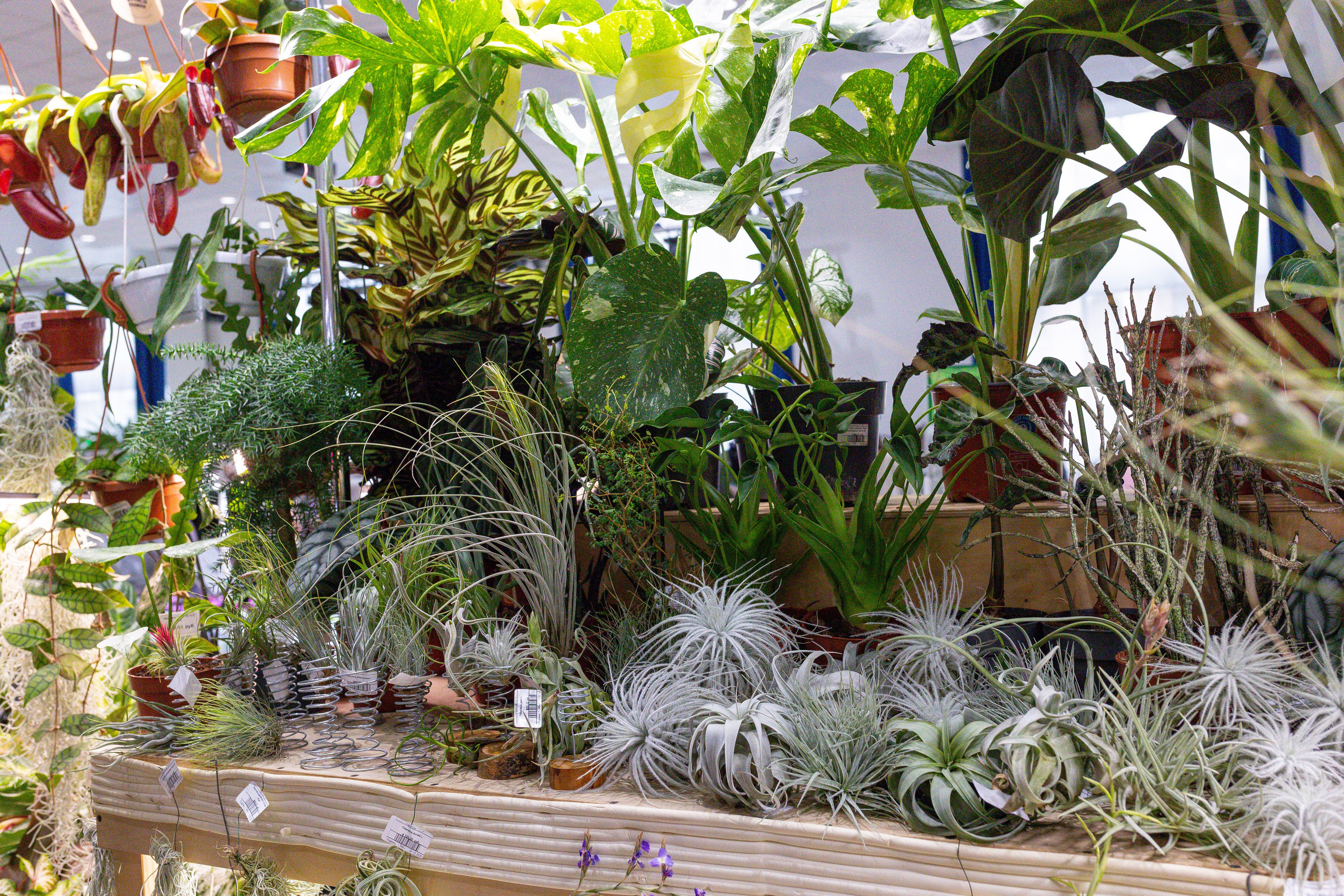 Монстериум 11–12 октября. Александра Куликова фотограф, Москва