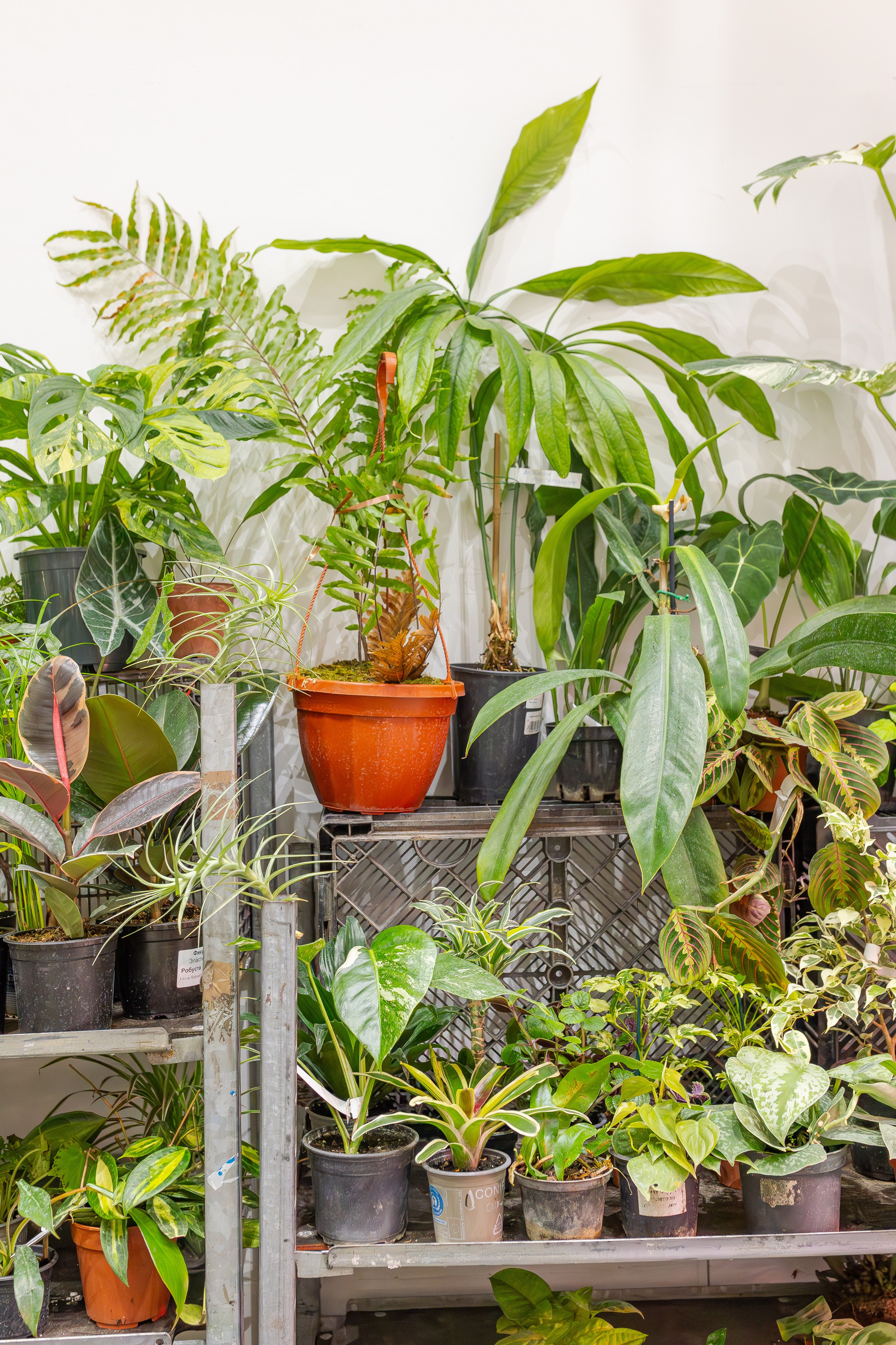 Монстериум апрель 2026. Александра Куликова фотограф, Москва