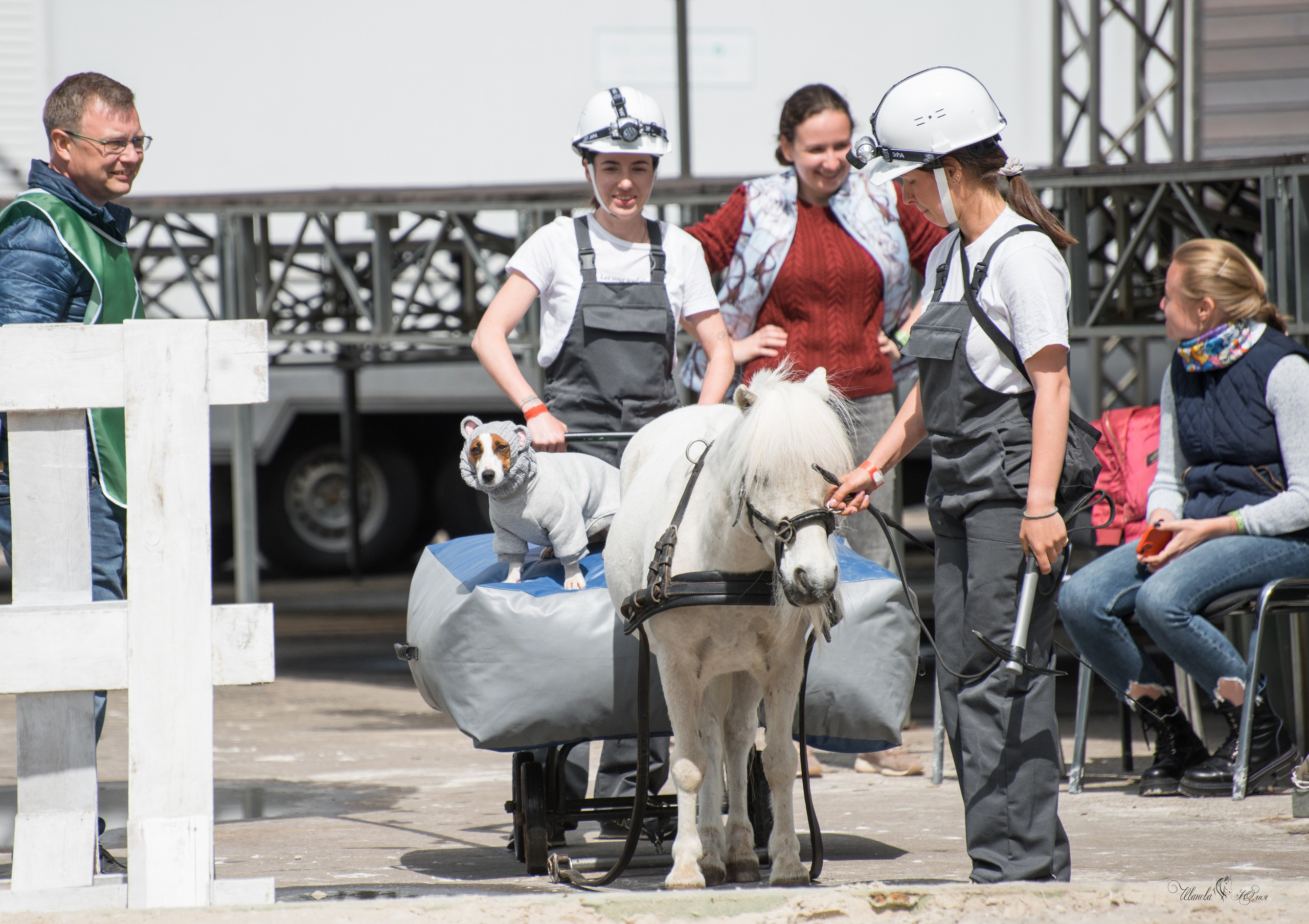 Эквирос, Москва. Конный фотограф в Саратове Юлия Иванова