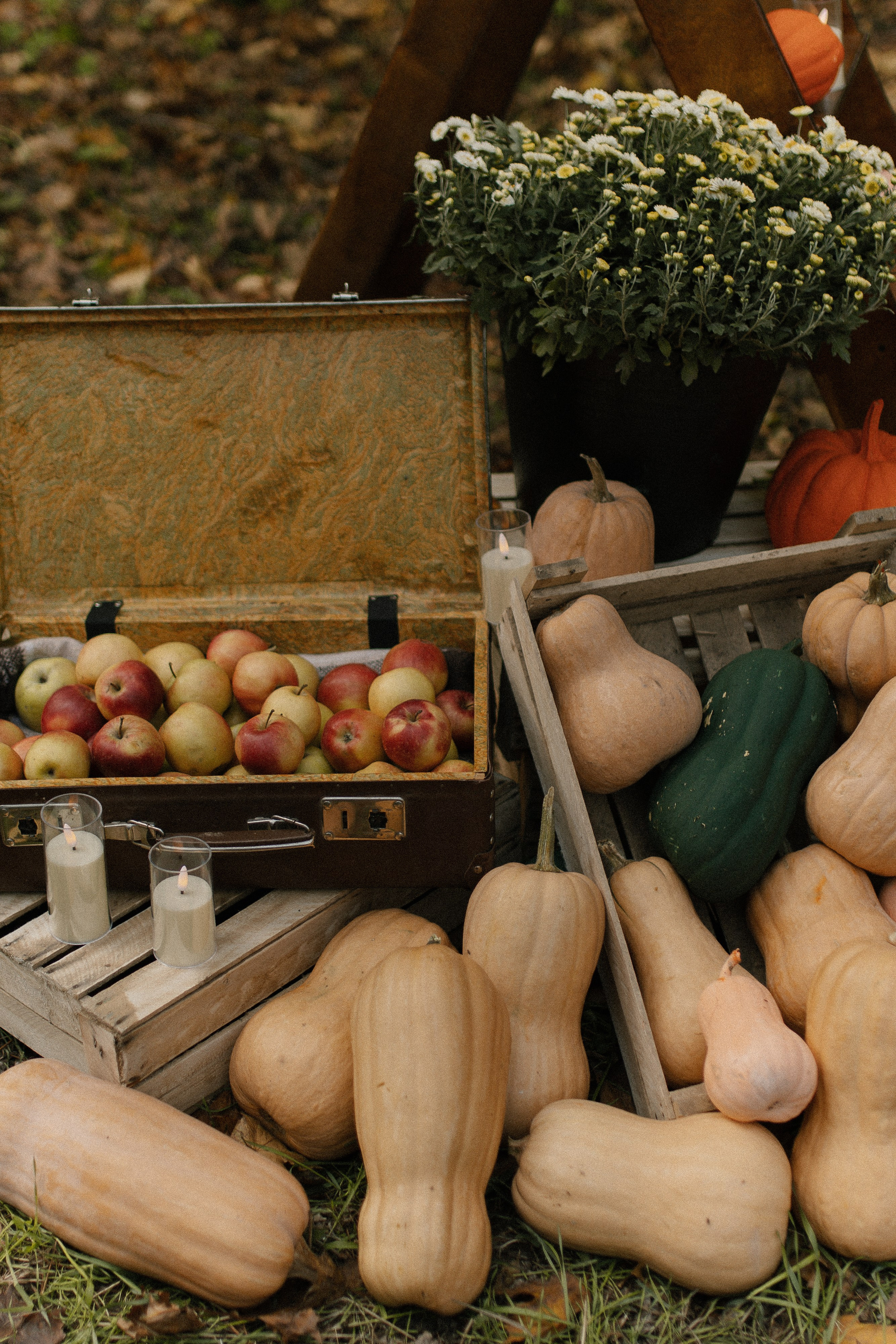 Алексей, Ксения и Мира. Свадебный и семейный фотограф в Краснодаре/Геленджике/Сочи/Санкт-Петербурге