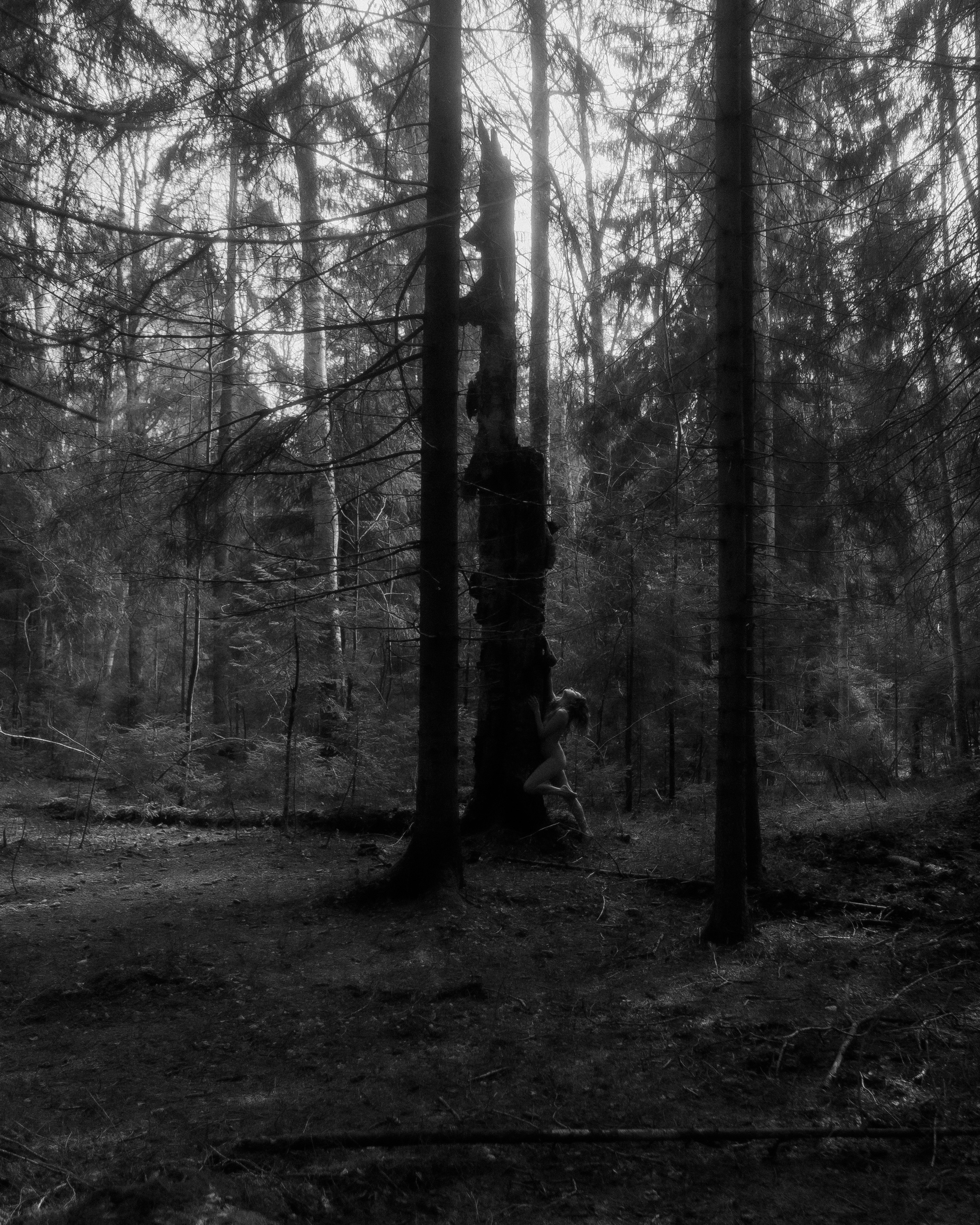 Чёрно-белая будуарная съёмка в природе, пластичность тела и гармония света