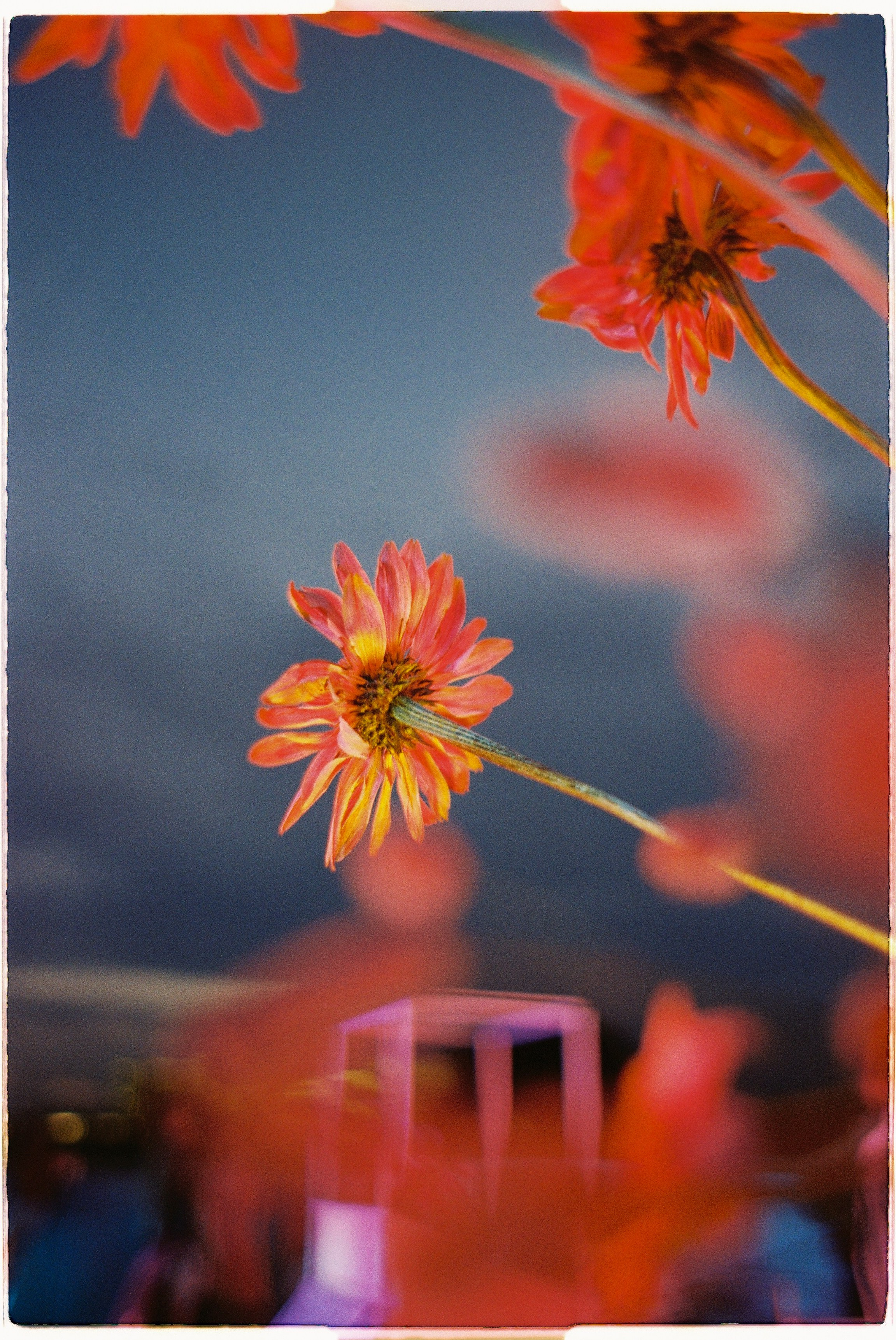 GARAGE РОКЕТ Клумб. Илья Симонов фотограф москва