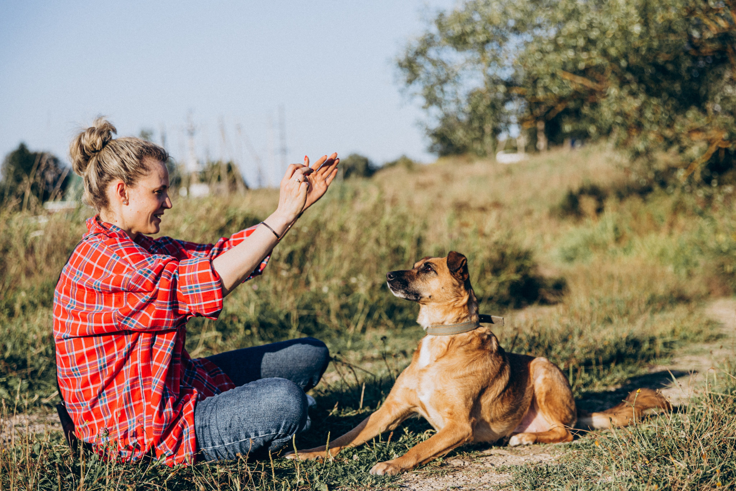 Буля. Фотограф-анималист в Москве Соломонова Варвара