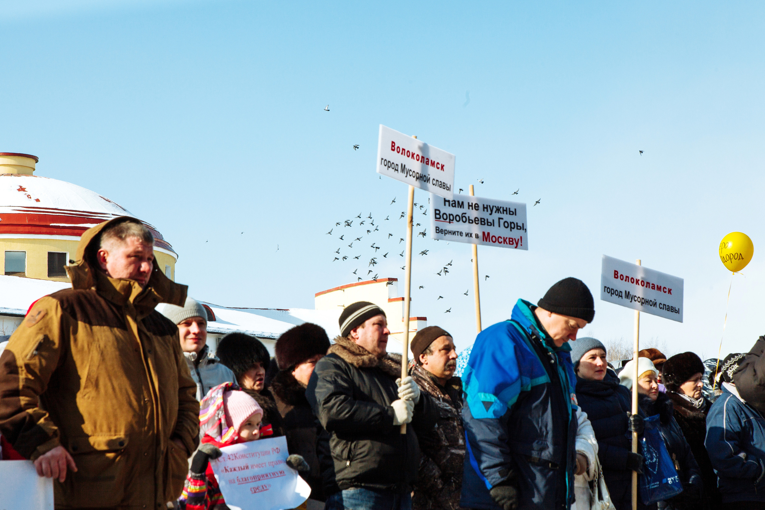 МИТИНГИ Волоколамск. Свадебный фотограф Юлия Логинова