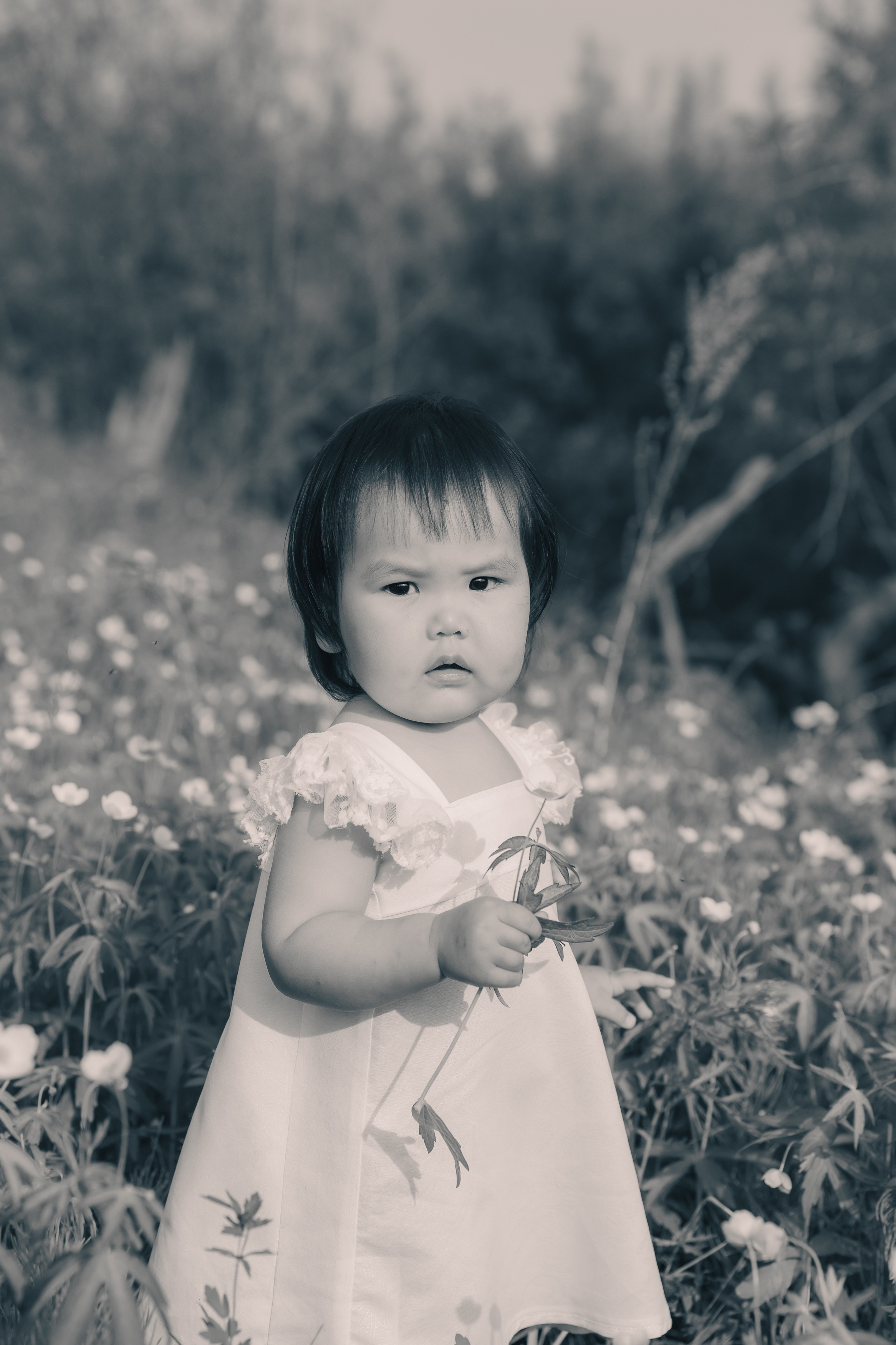 Виолетта и Мия. Воронистая Анастасия. Фотограф Якутия, Томпонский район