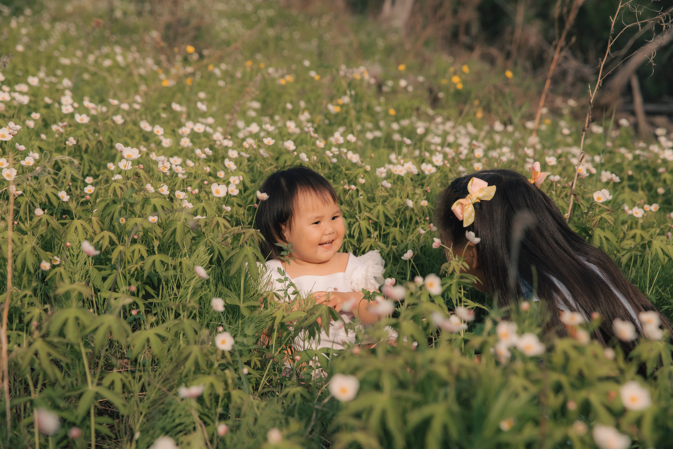 Виолетта и Мия. Воронистая Анастасия. Фотограф Якутия, Томпонский район