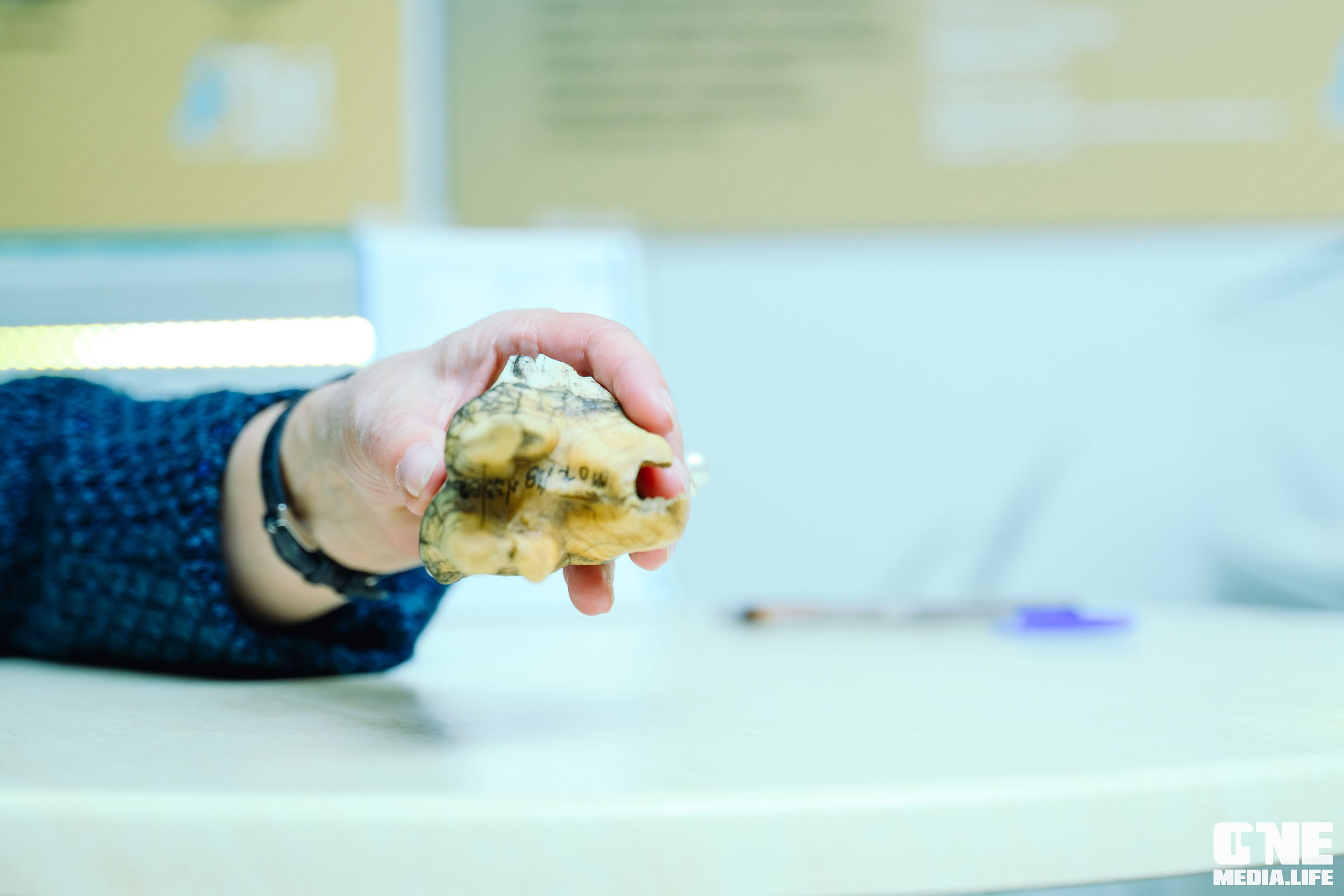 Балтийский Культурный Форум 2024. One Media Life: фоторепортажи, фотоотчеты с мероприятий и заведений