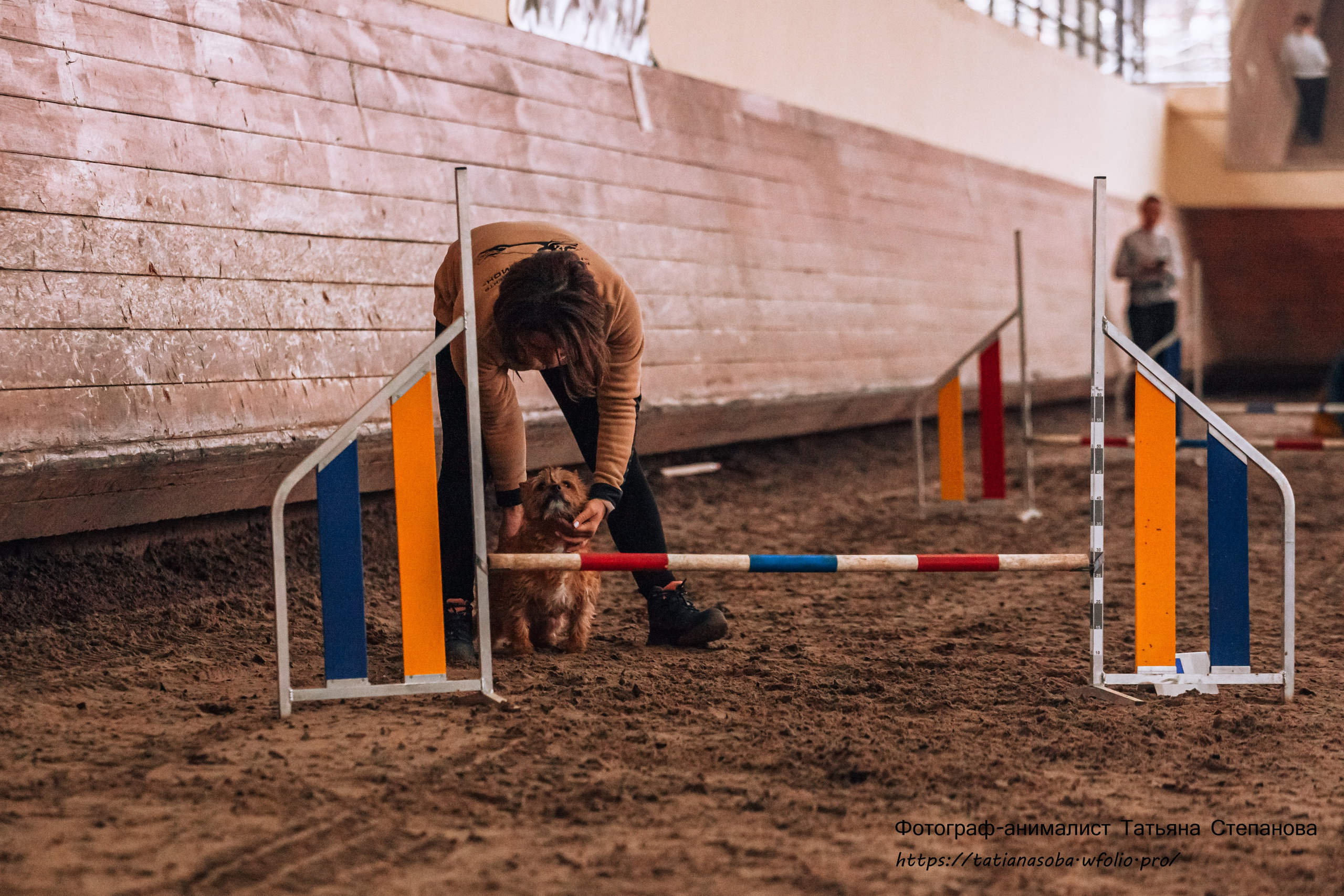 Соревнования по Аджилити 25.02.2024. Фотограф-анималист Татьяна Степанова