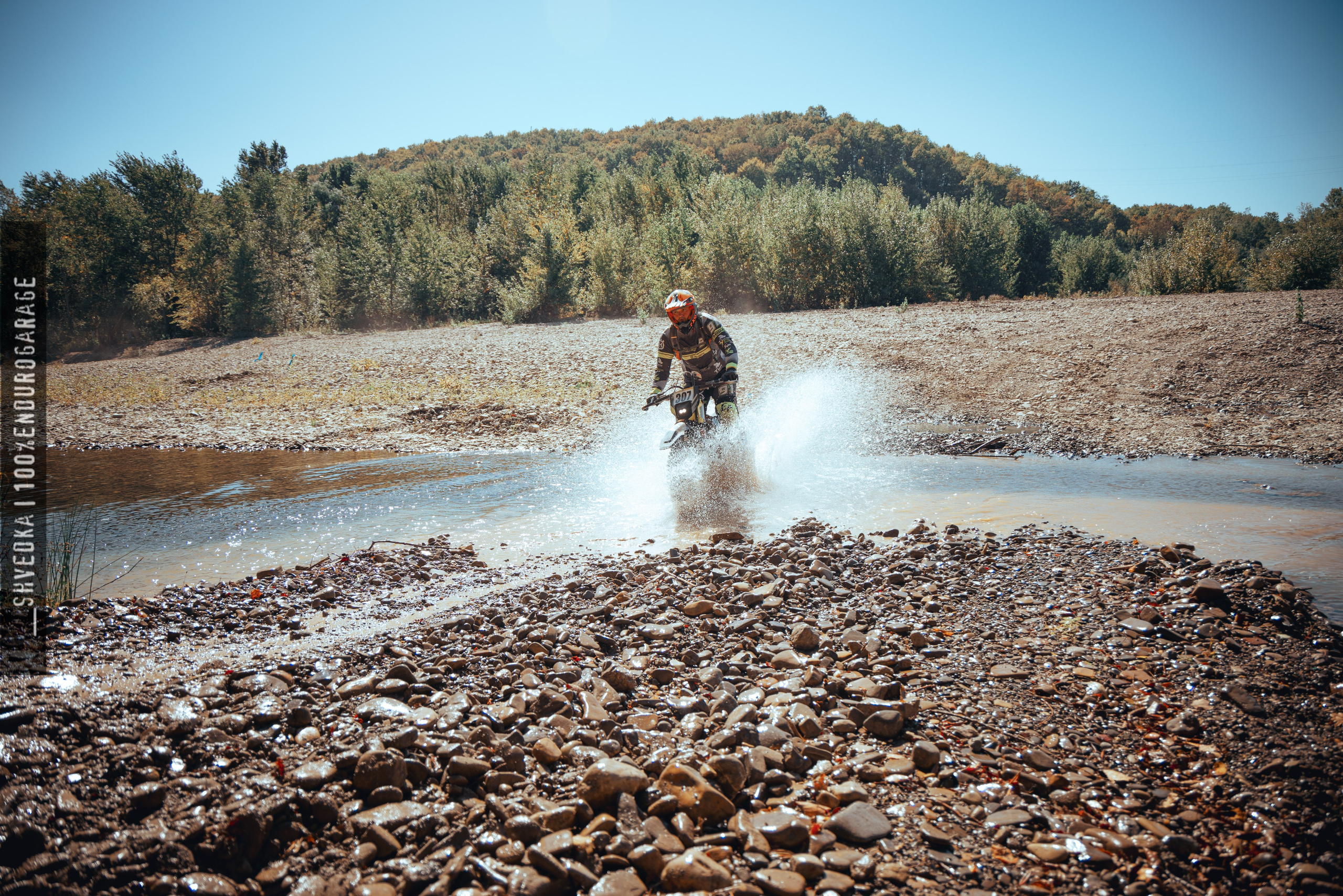 1 лесной день. Ваш экстрим фотограф Кудрева Яна