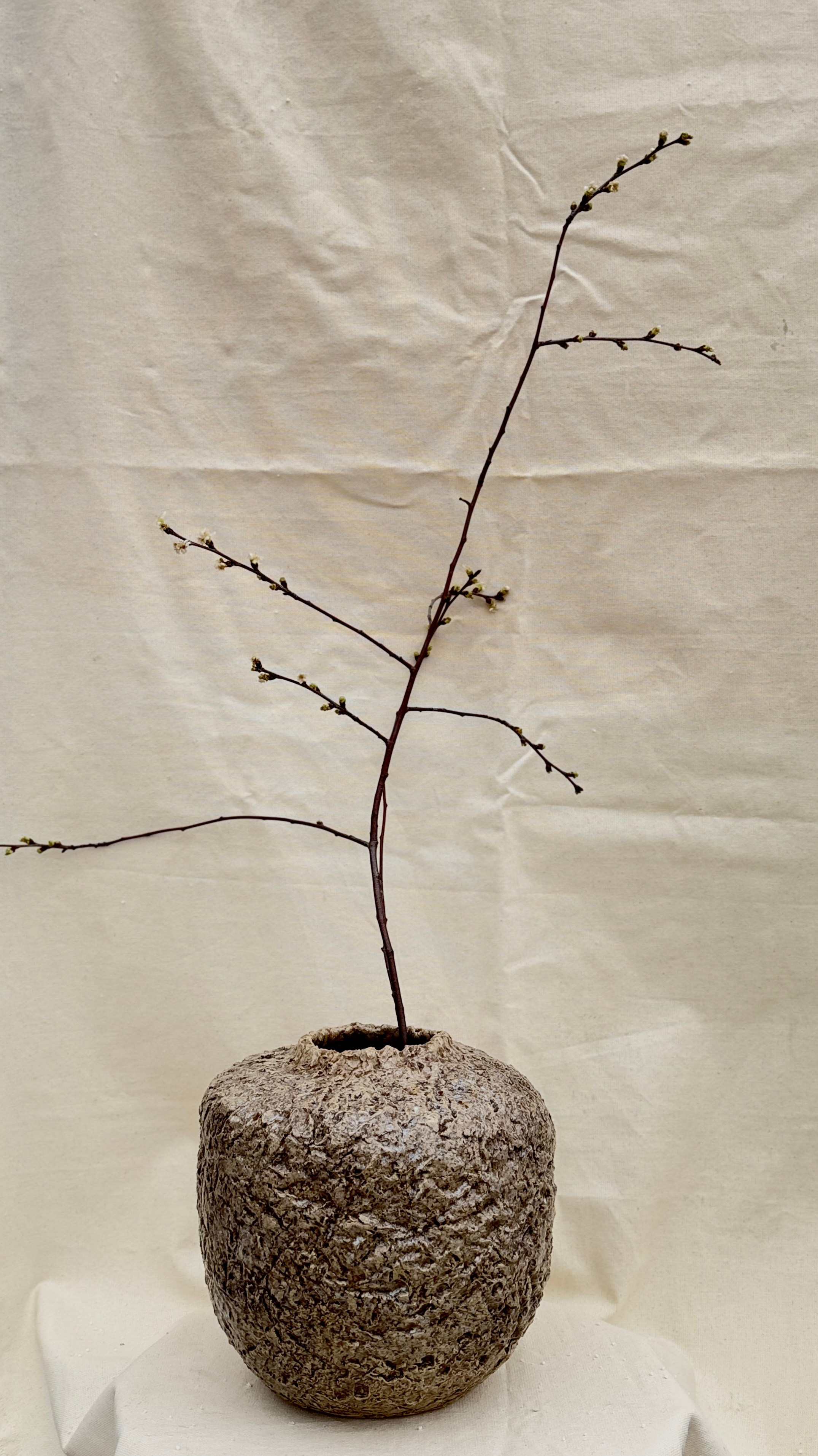 Ваза «Большой коричневый камень». Арт-керамика Катерины Жизневской