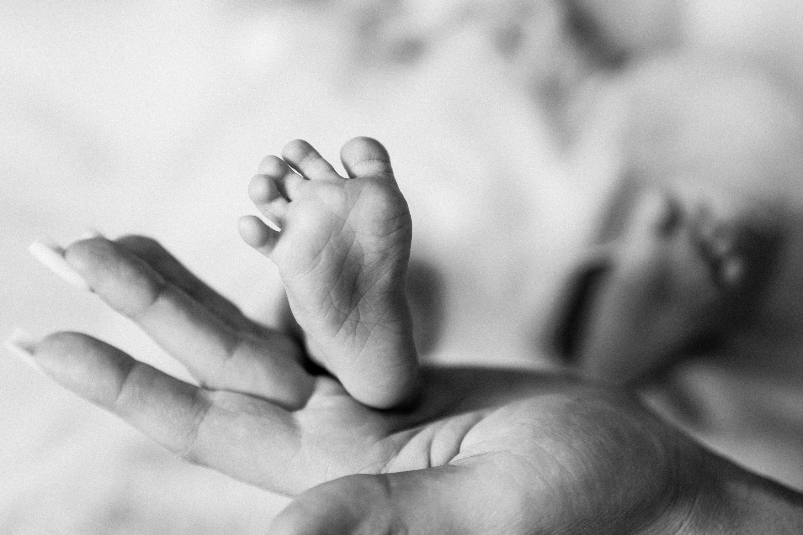 Newborn. Свадебный фотограф в Лисках