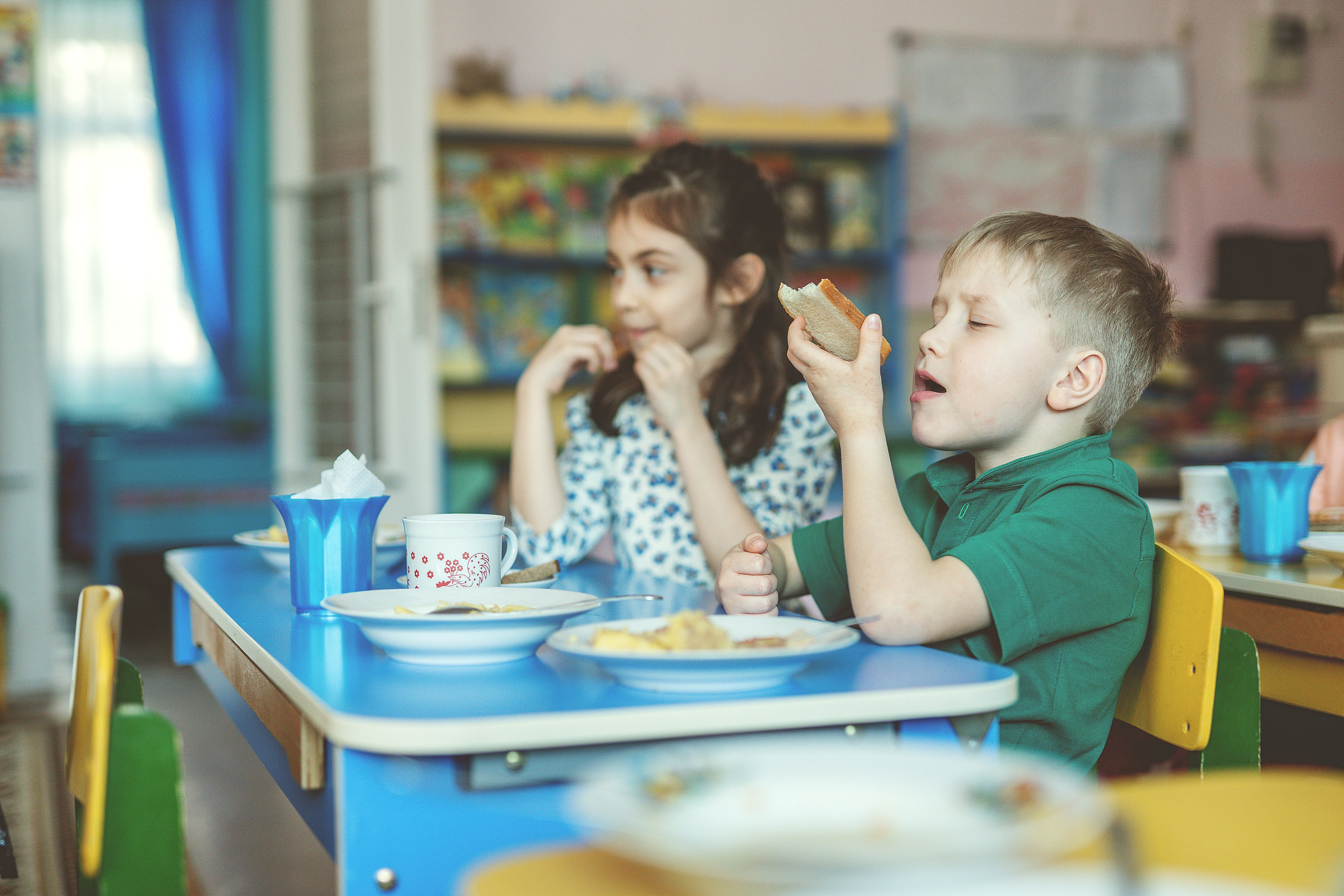 Сад 3. Школьные альбомы и альбомы для детского сада. Юлия Осипова. Москва
