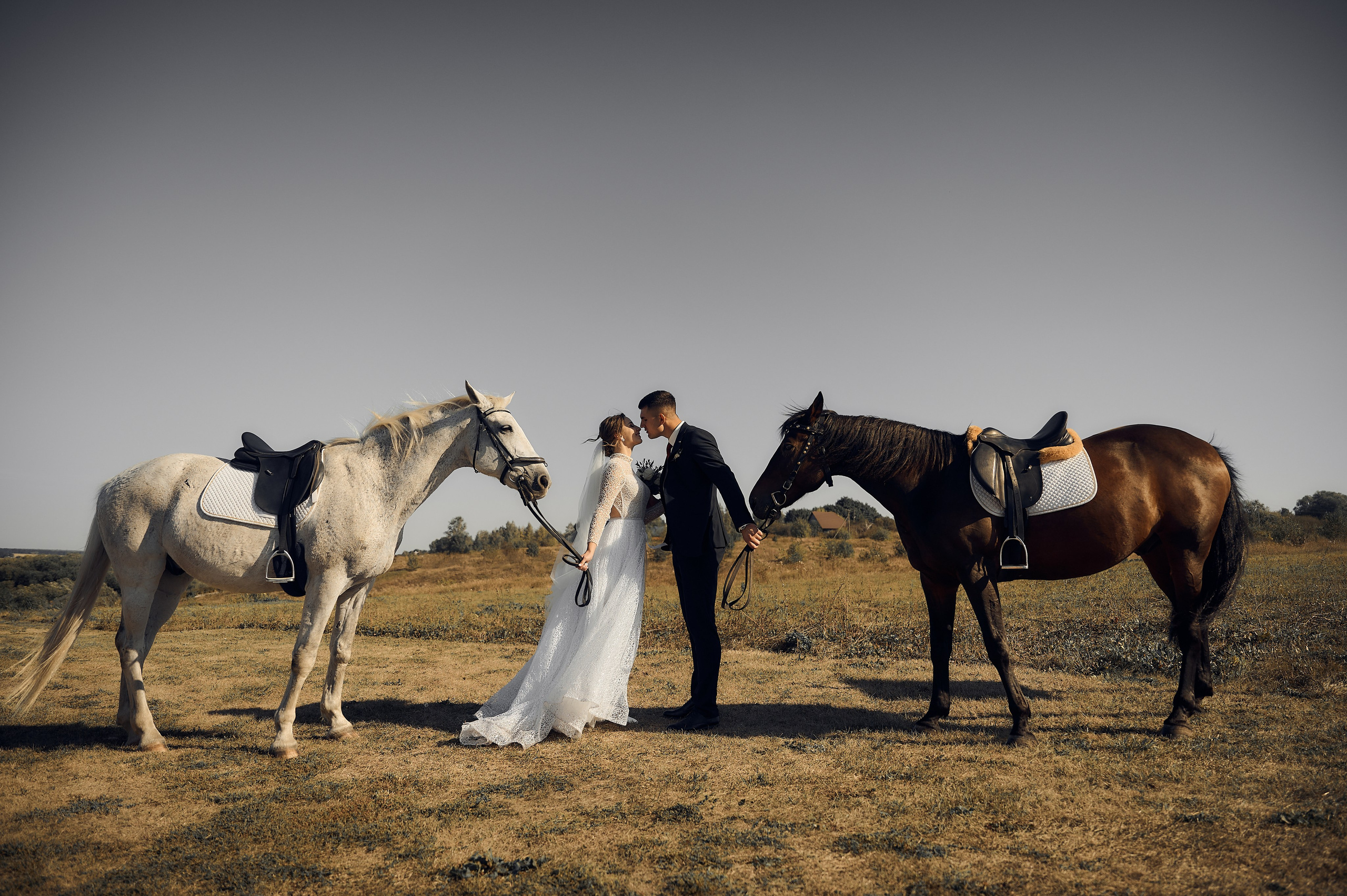 Фотосессия с конями. Свадебный фотограф в Туле Никита Беляев
