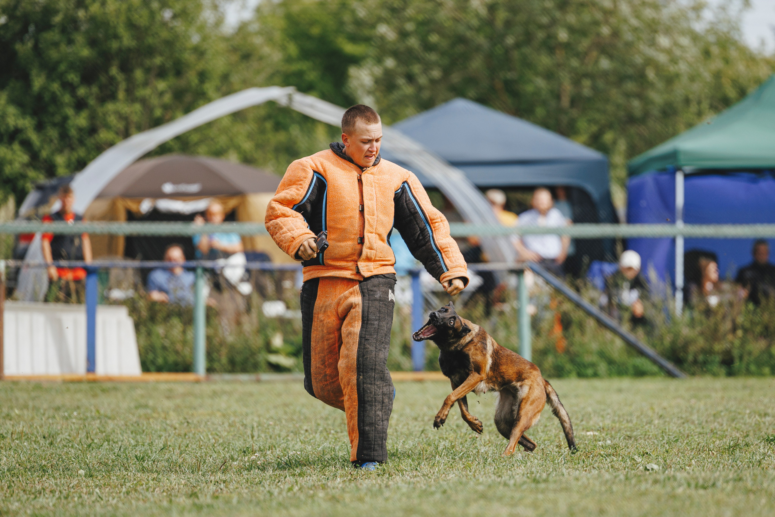 08.08.25-10.08.25 ЧР по мондьорингу г. Вологда. Фотограф-анималист Анна Маринич