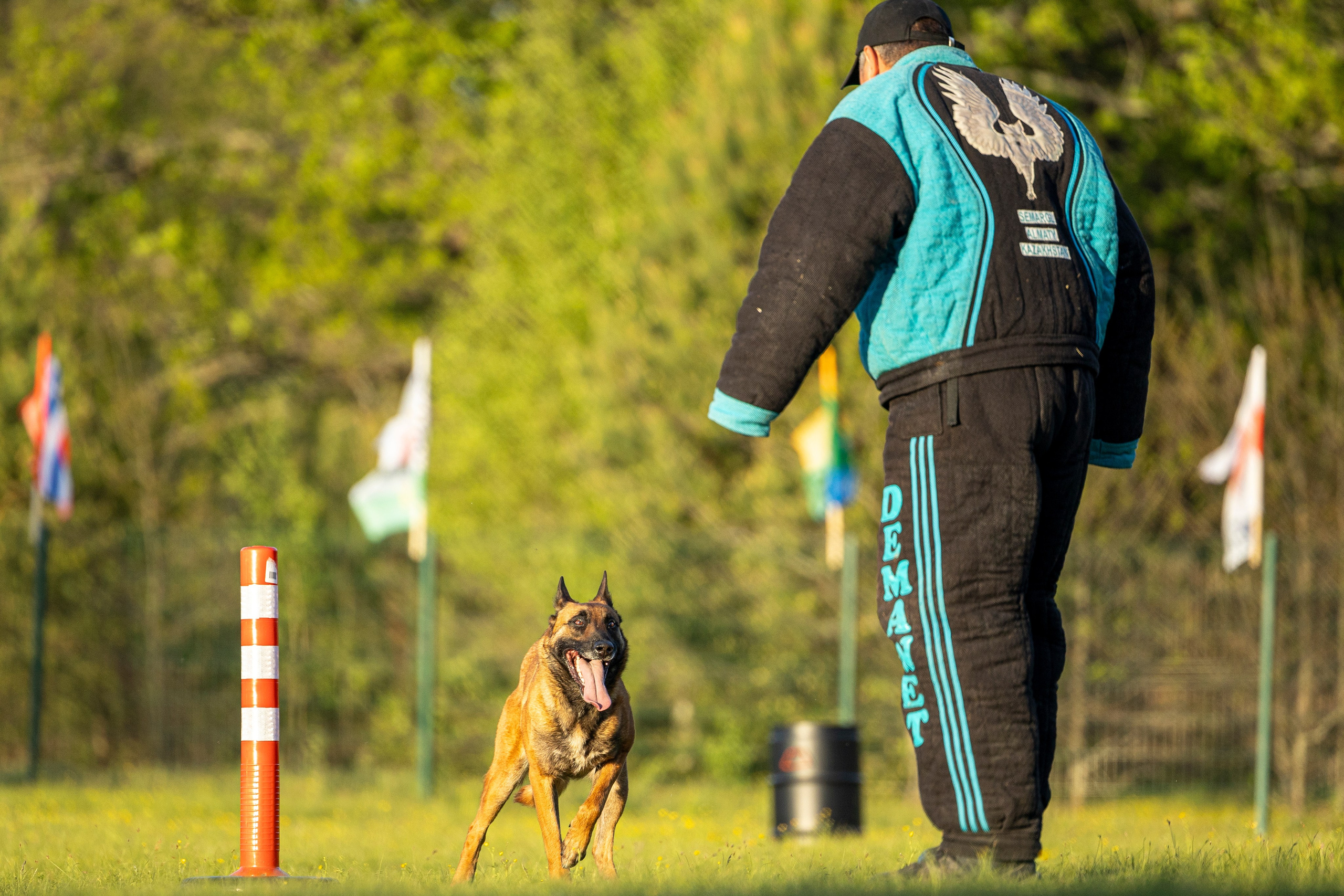 Испытания по мондьорингу в Нижнем Новгороде. Фотограф-анималист Анна Маринич