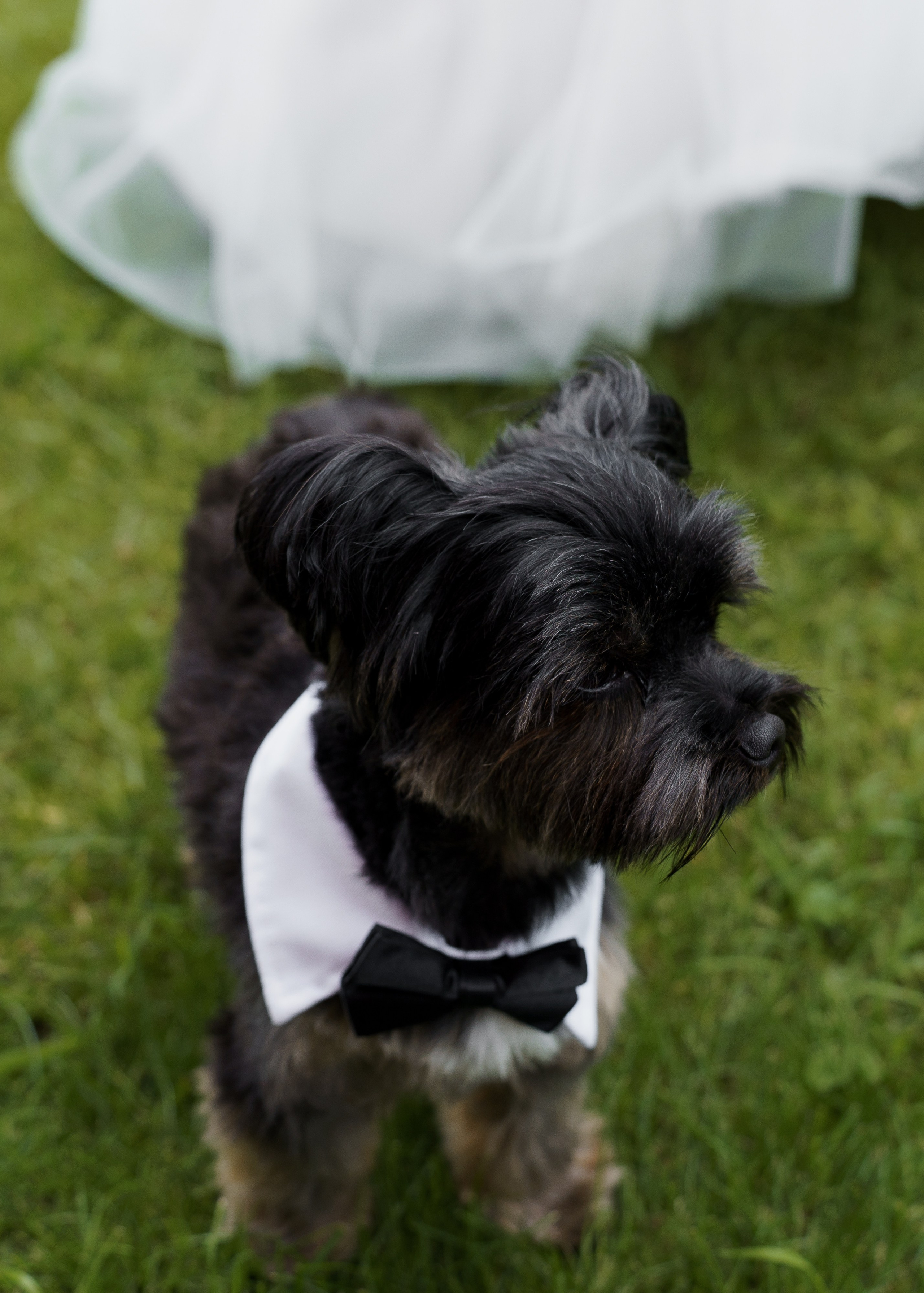 Станислав & Гюзель. Главная