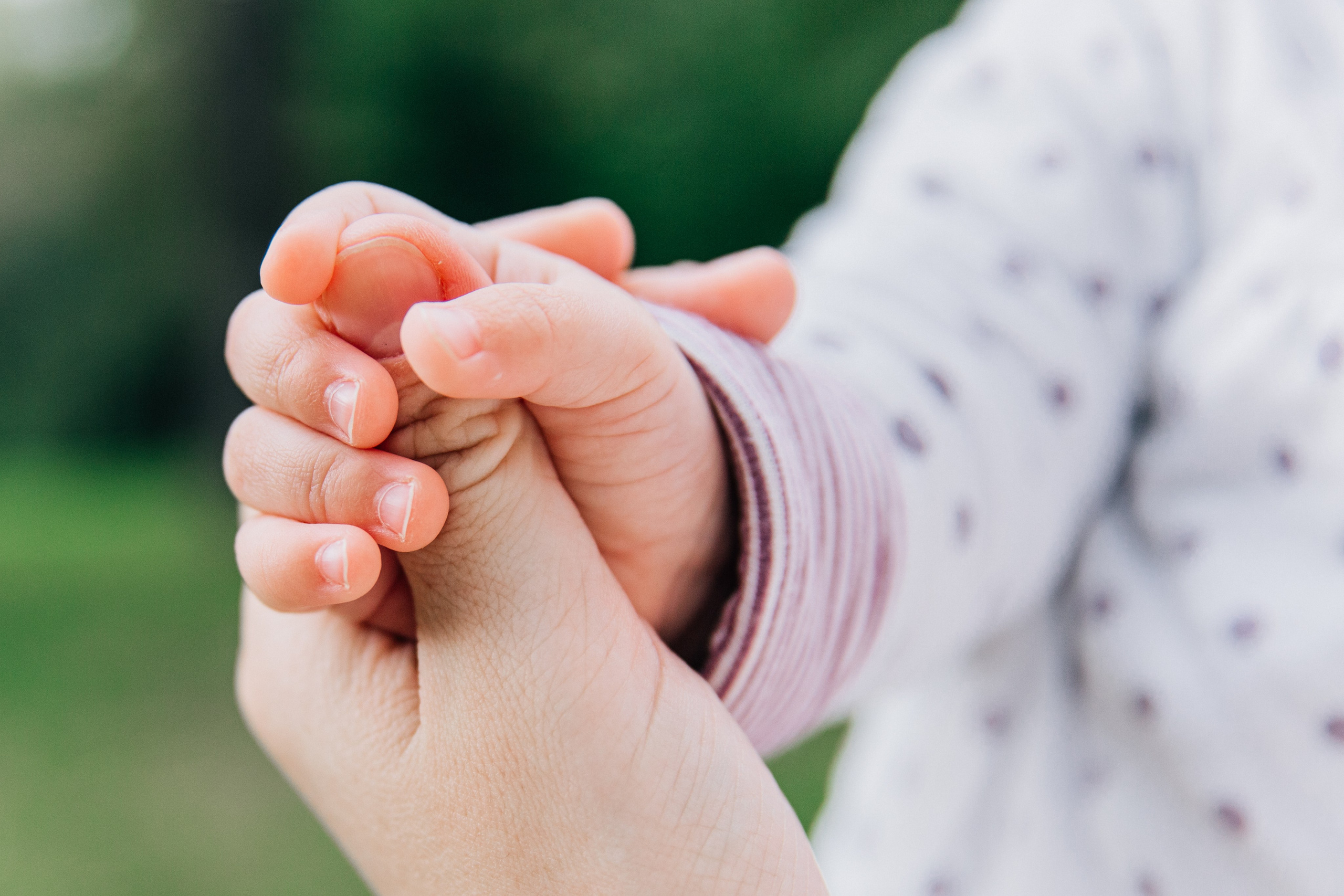 Аня, Вера, Кира и мама. Фотограф-анималист в Москве Соломонова Варвара