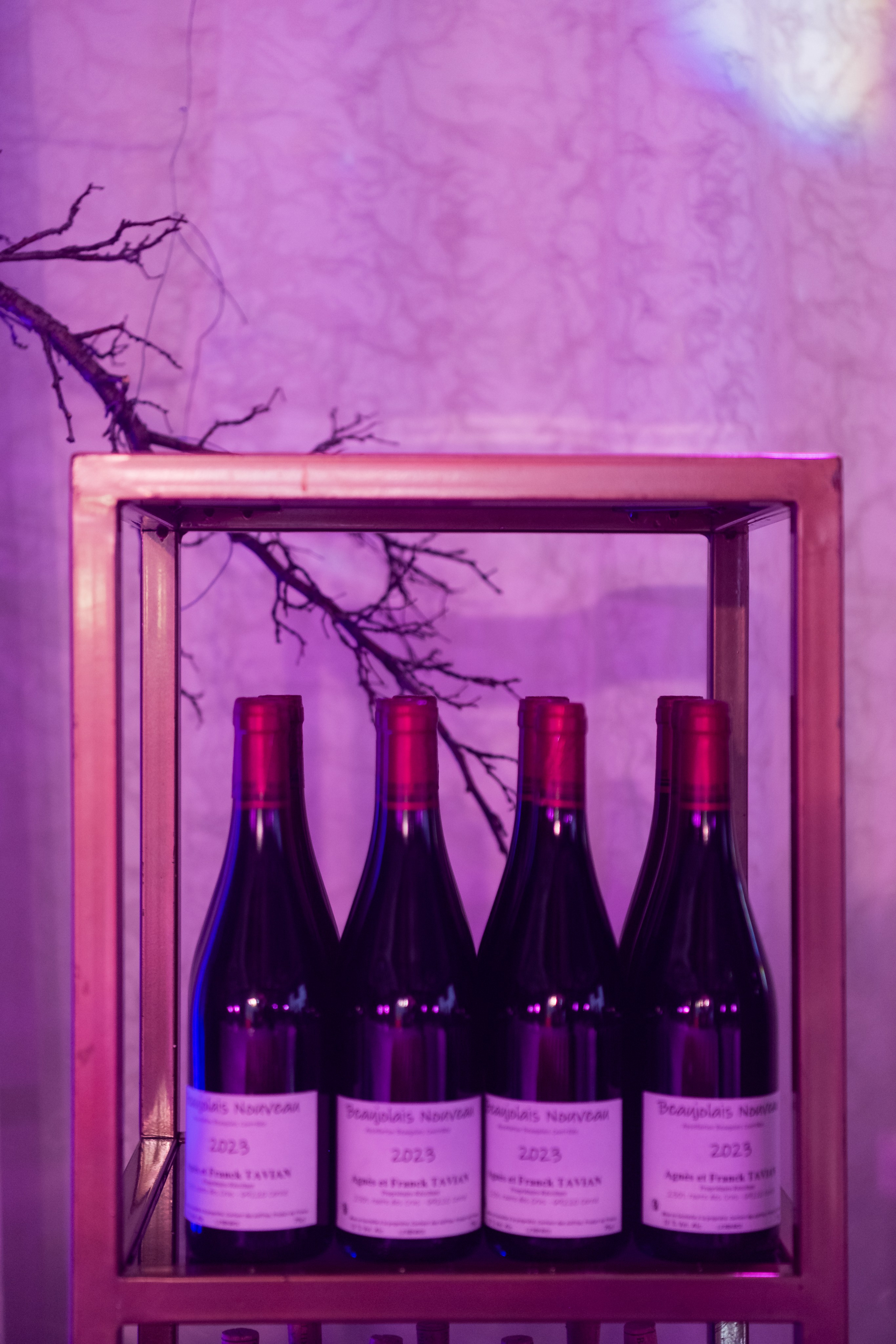 Beaujolais nouveau 2023. Фотограф Астана, Алматы