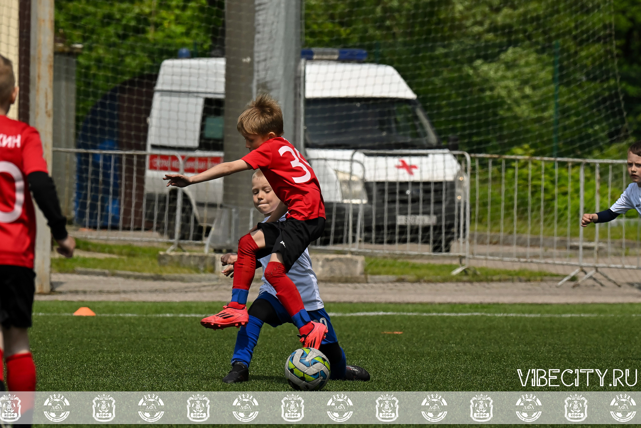 Большие Звезды светят Малым. VIBECITY.RU Вайб Сити Ру Фоторепортажи Фотоотчеты Калининград