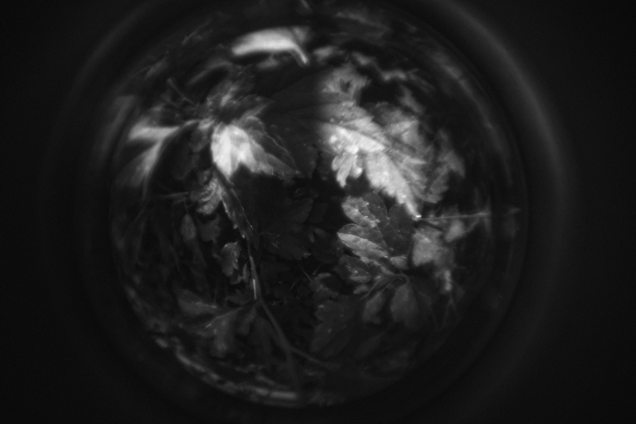 Bardo / Астигматическая ловушка для снов. Роман Ходырев — художник, фотограф, музыкант, эзотериолог. Санкт-Петербург, Рига