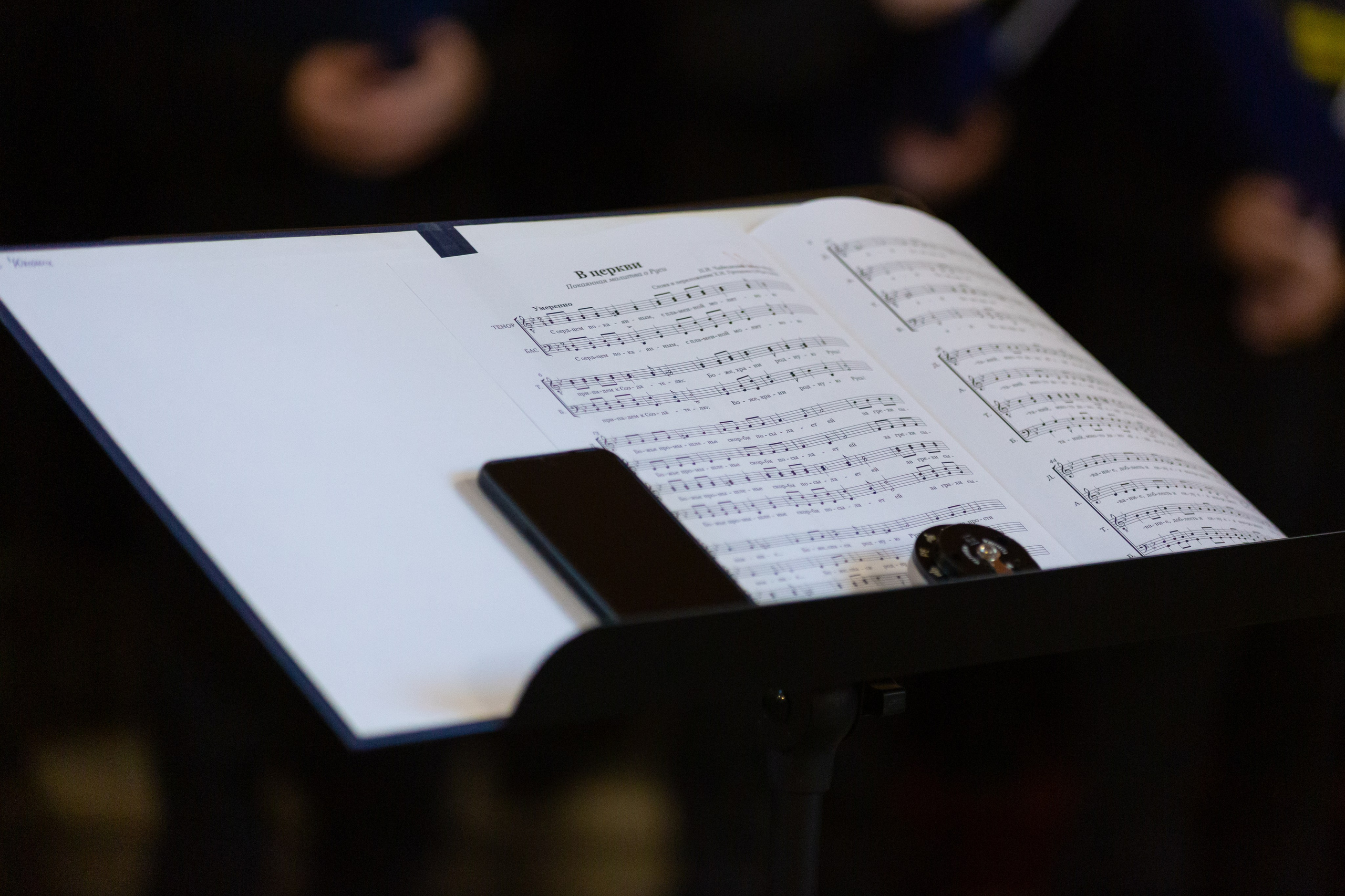 III Всероссийский фестиваль «Оптинские встречи на берегах Невы». Семейный и детский фотограф в Санкт-Петербурге Пуликов Дмитрий