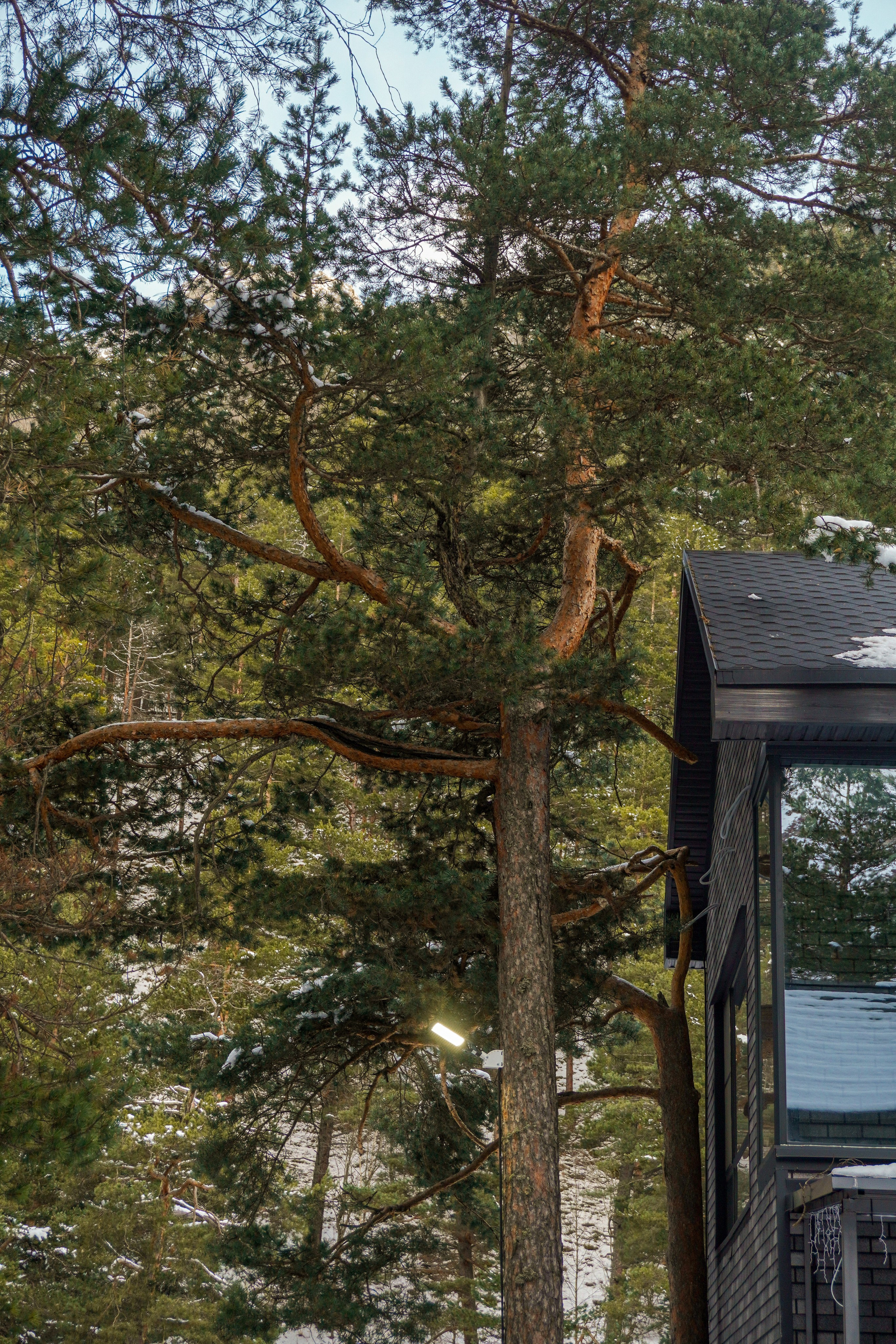 Эклер. Фотограф и видеограф Елена Хмелевская