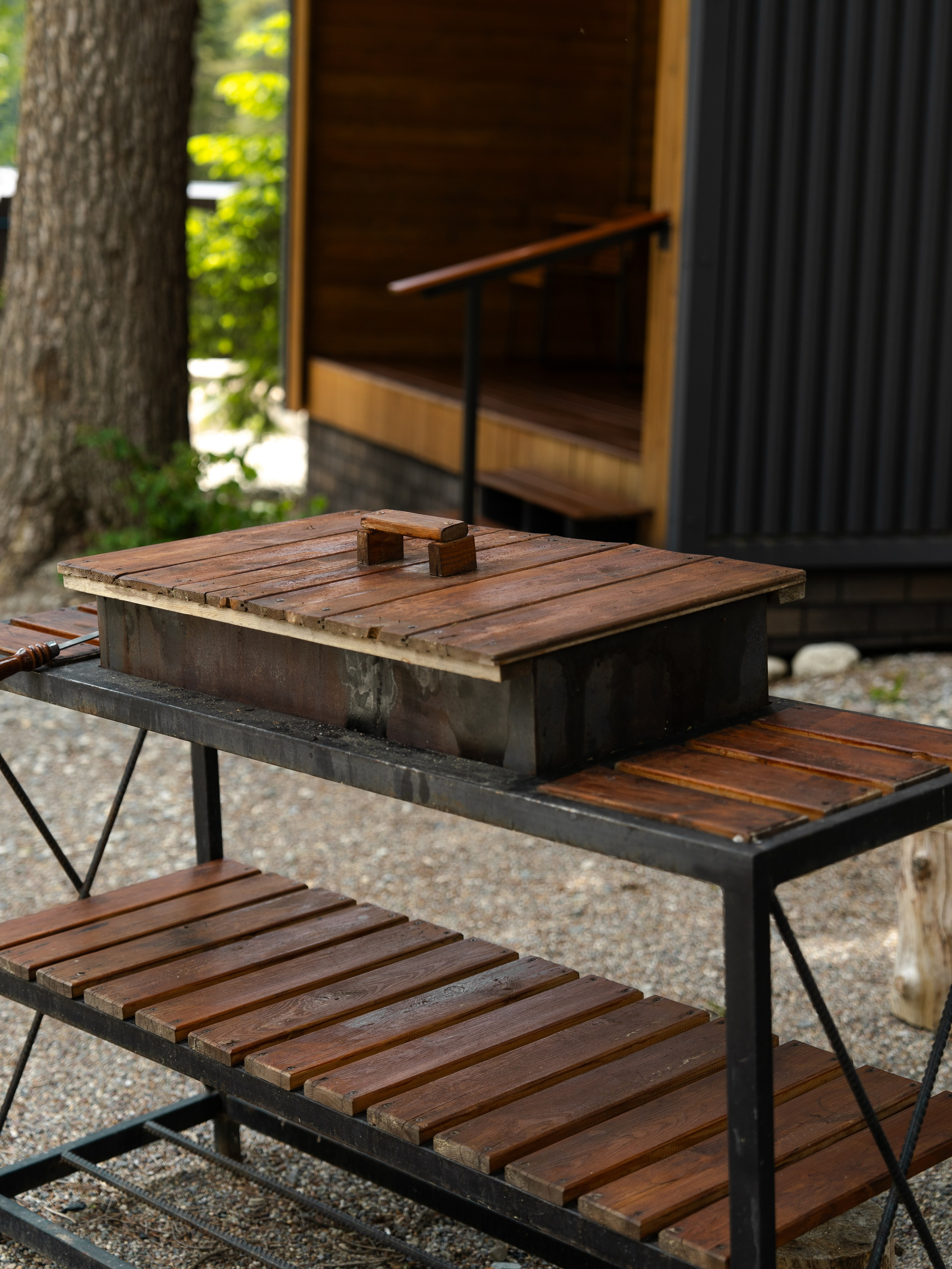 SkyWood. Фотограф и видеограф Елена Хмелевская