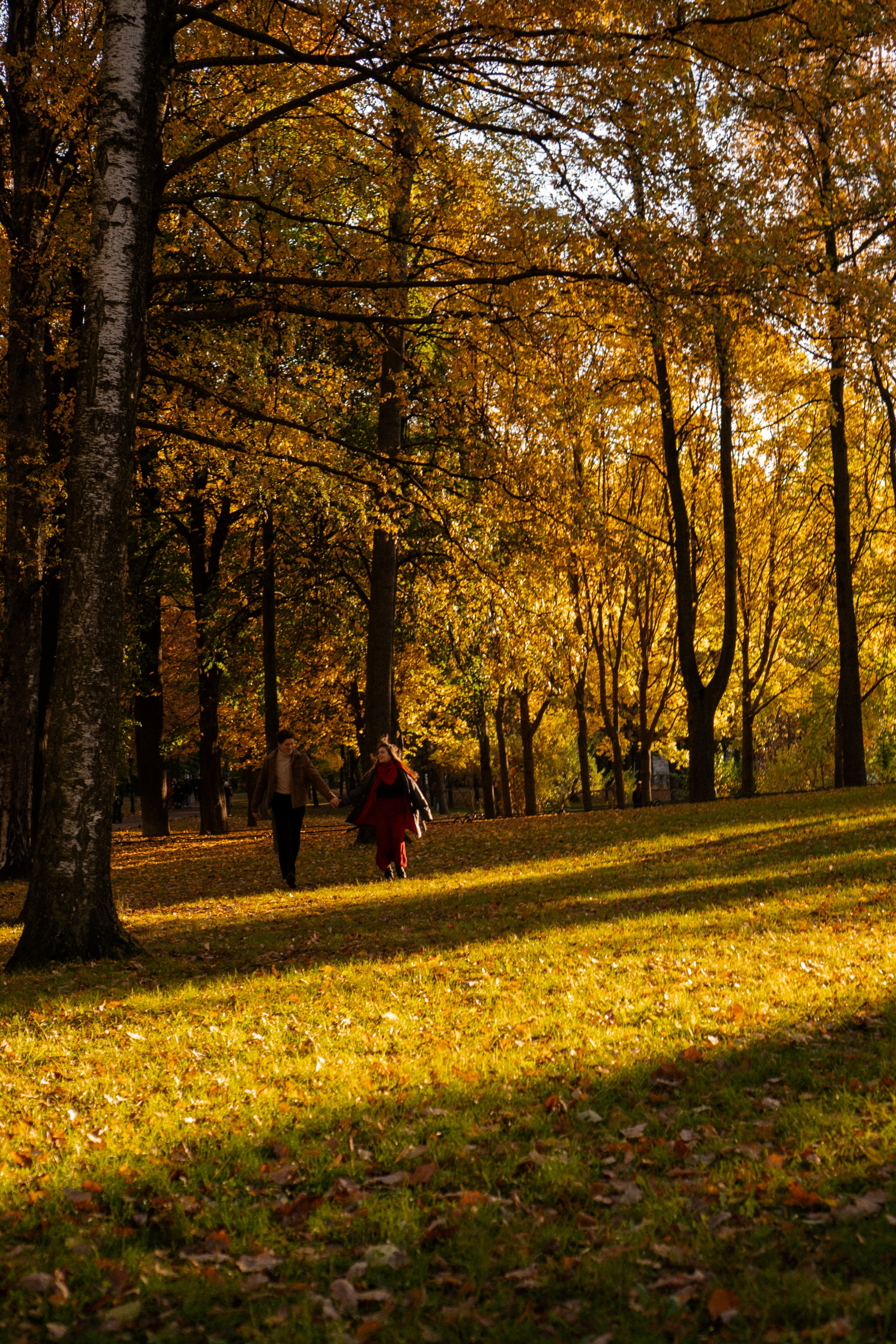 ОСЕННЯЯ ПРОГУЛКА. Профессиональный фотограф, Санкт-Петербург — Виктория Богомолова